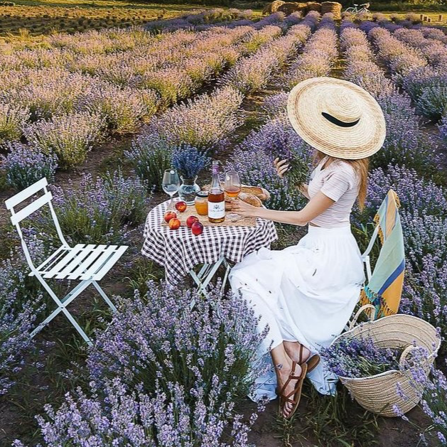 Що одягнути на фотосесію в лавандовому полі?. Сімейний фотограф Київ Наталія Шкаврон