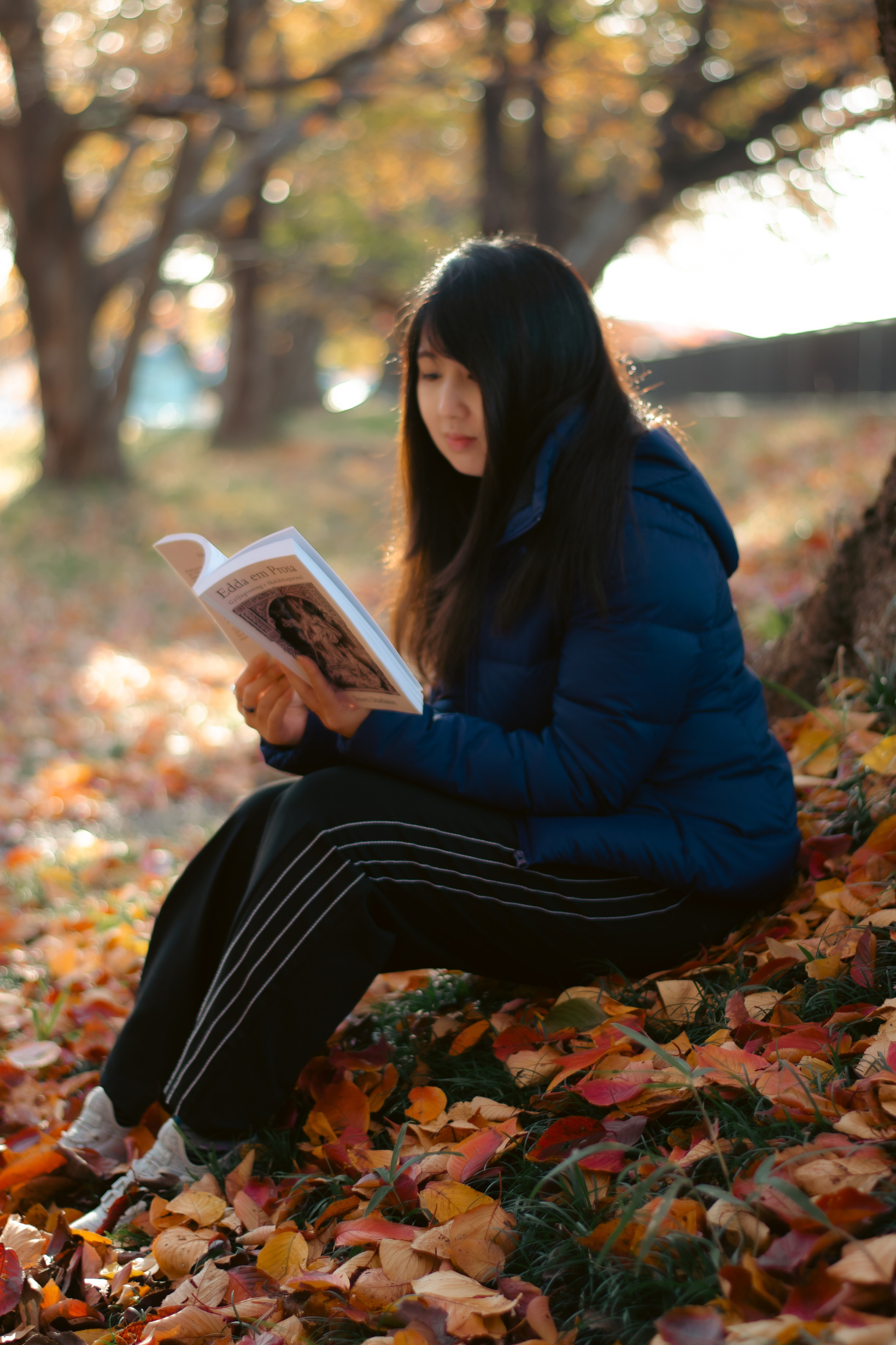 FOTOS EM AMBIENTES EXTERNOS