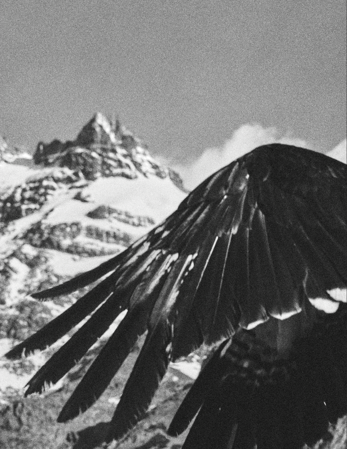 Contacts. Photographer and Videographer in Buenos Aires | Visual NV