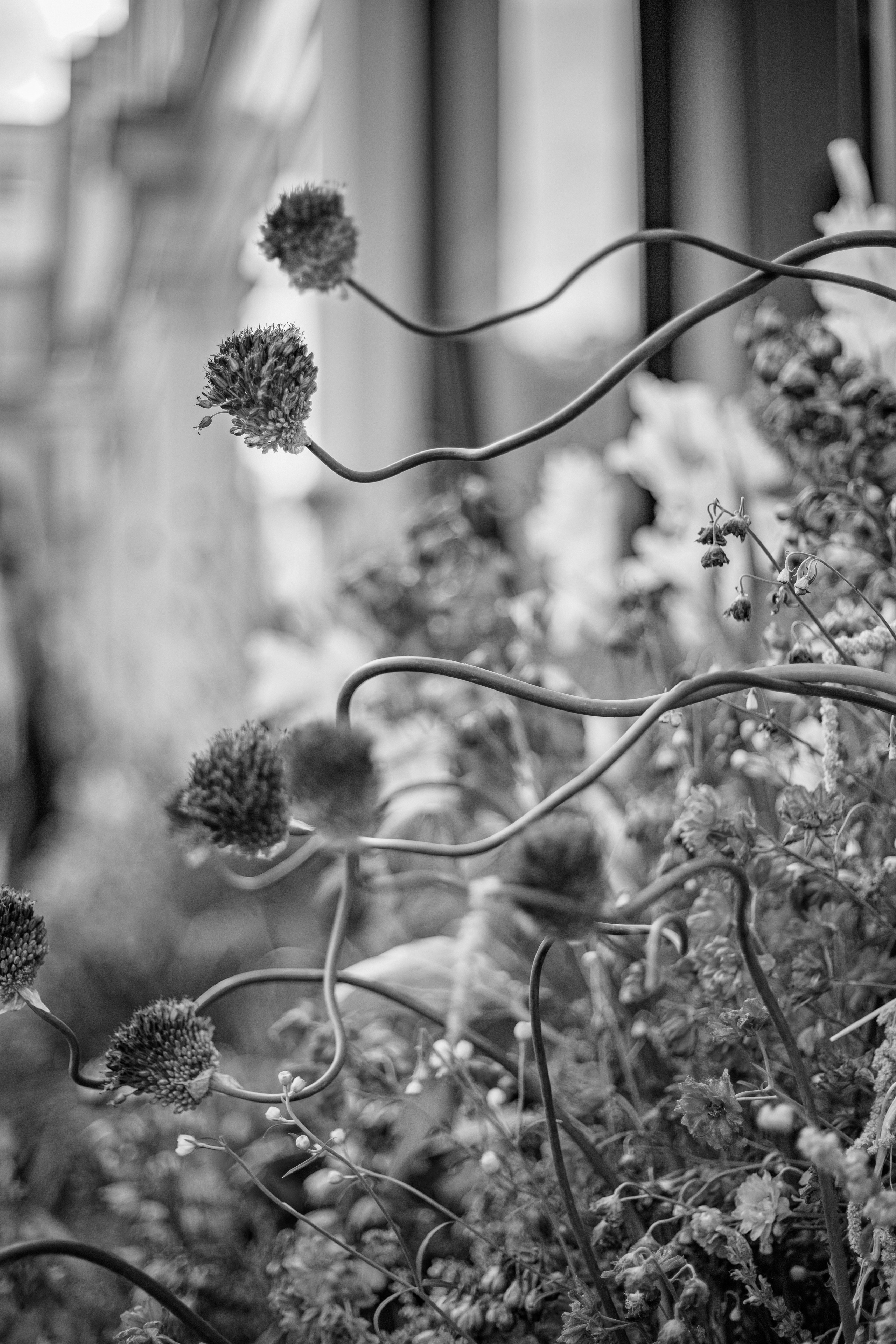 Fine art and creative portrait photographer based in Eastbourne, England — specialising in storytelling imagery. Natalja Poplavska — Visual artist, Photographer, East Sussex, London