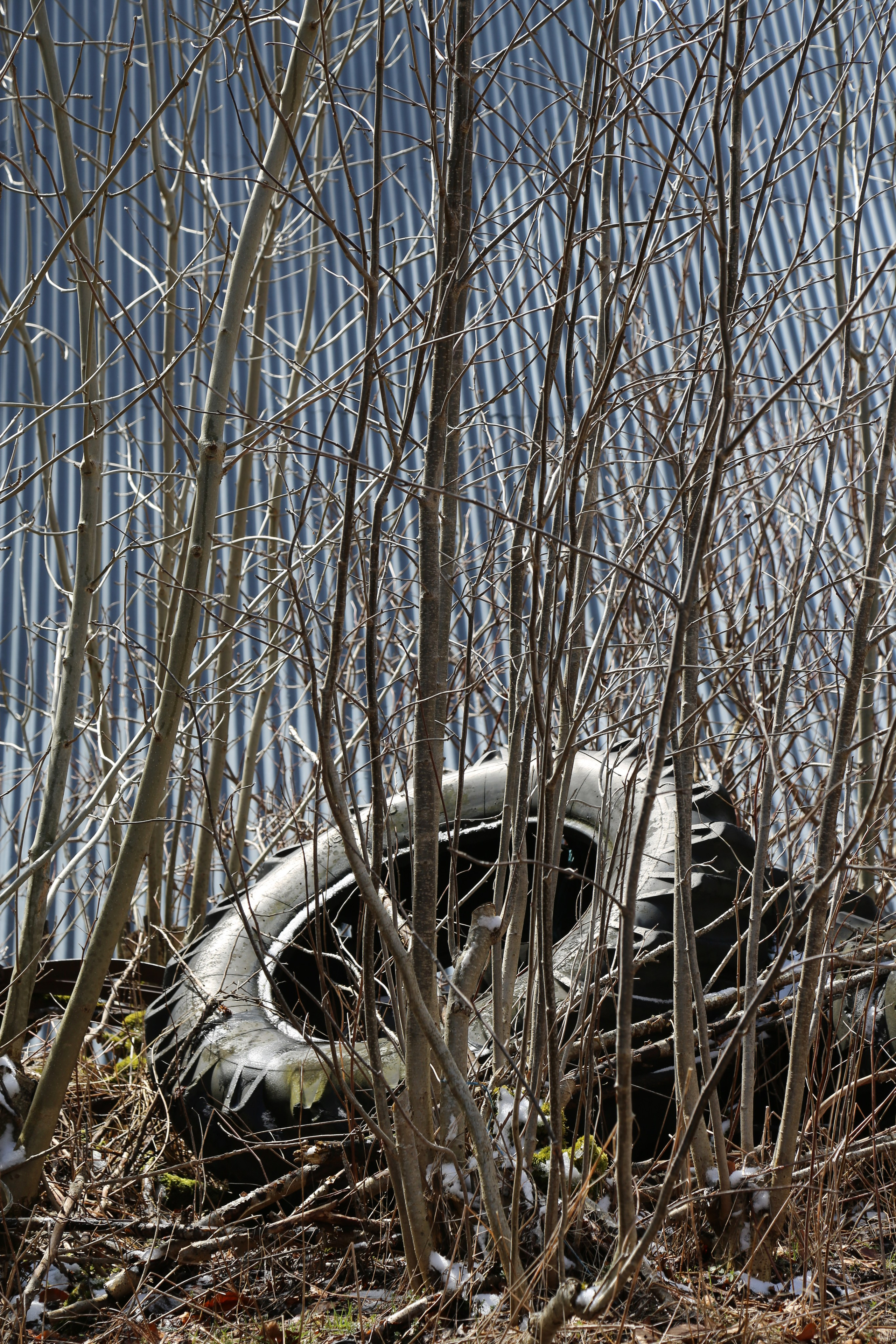 ARC EN SEINE. 7/03 - 21/03. Natalia Bogdanovska. Films et photographie corporate en France