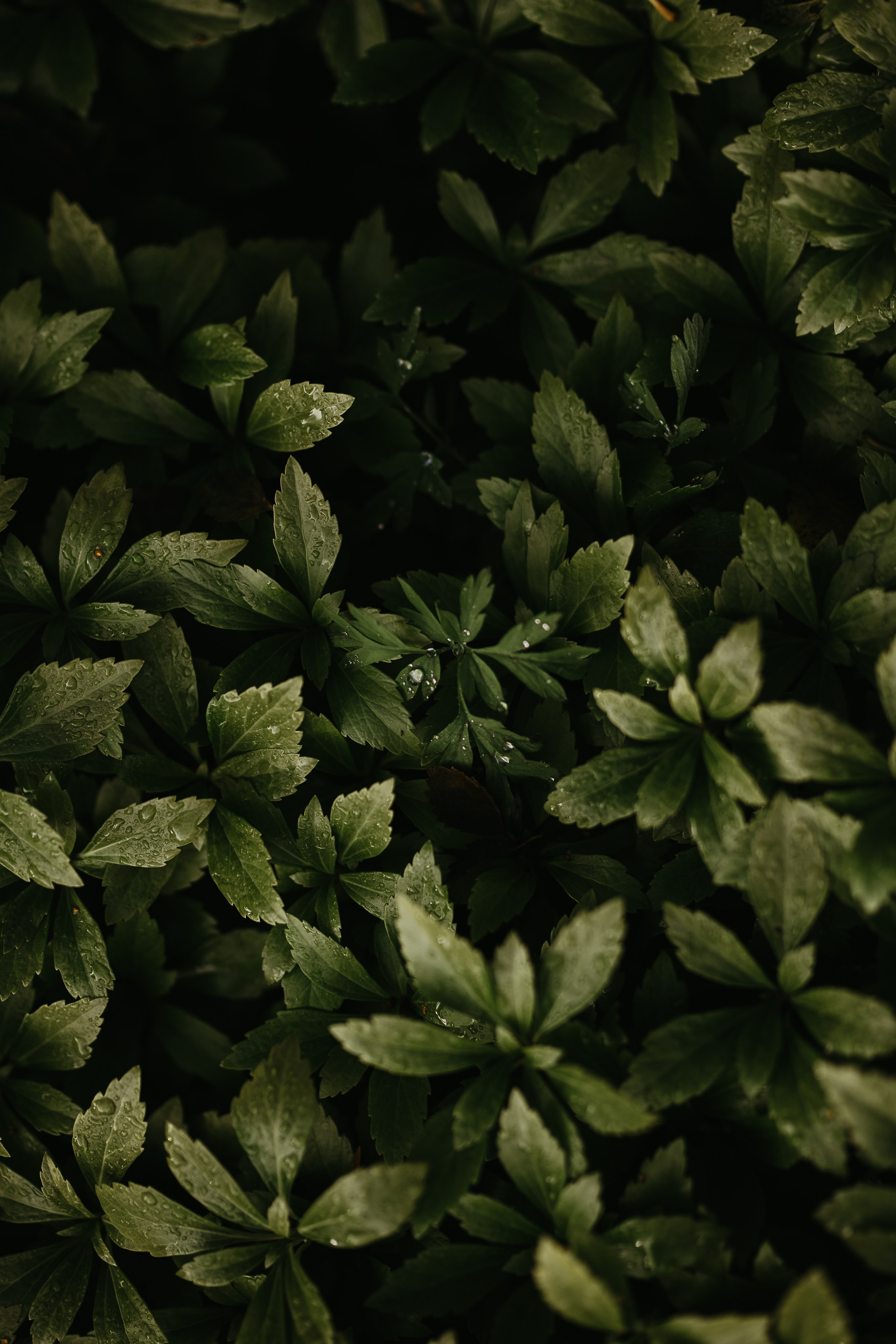 Forecast: Unpredictable. Heart In Lens Photography from Reykjavík, Iceland