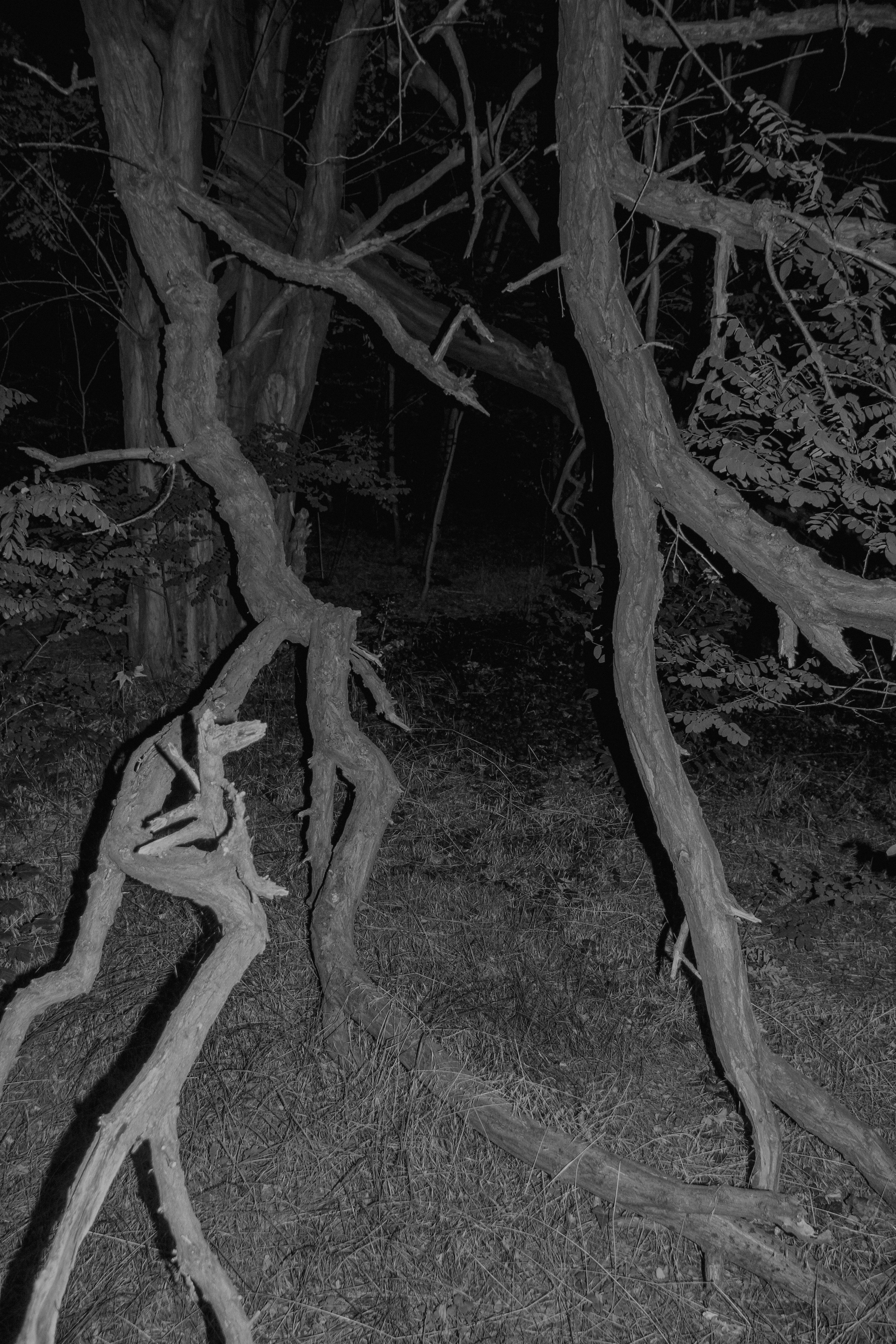 Maria Bogachek Photography