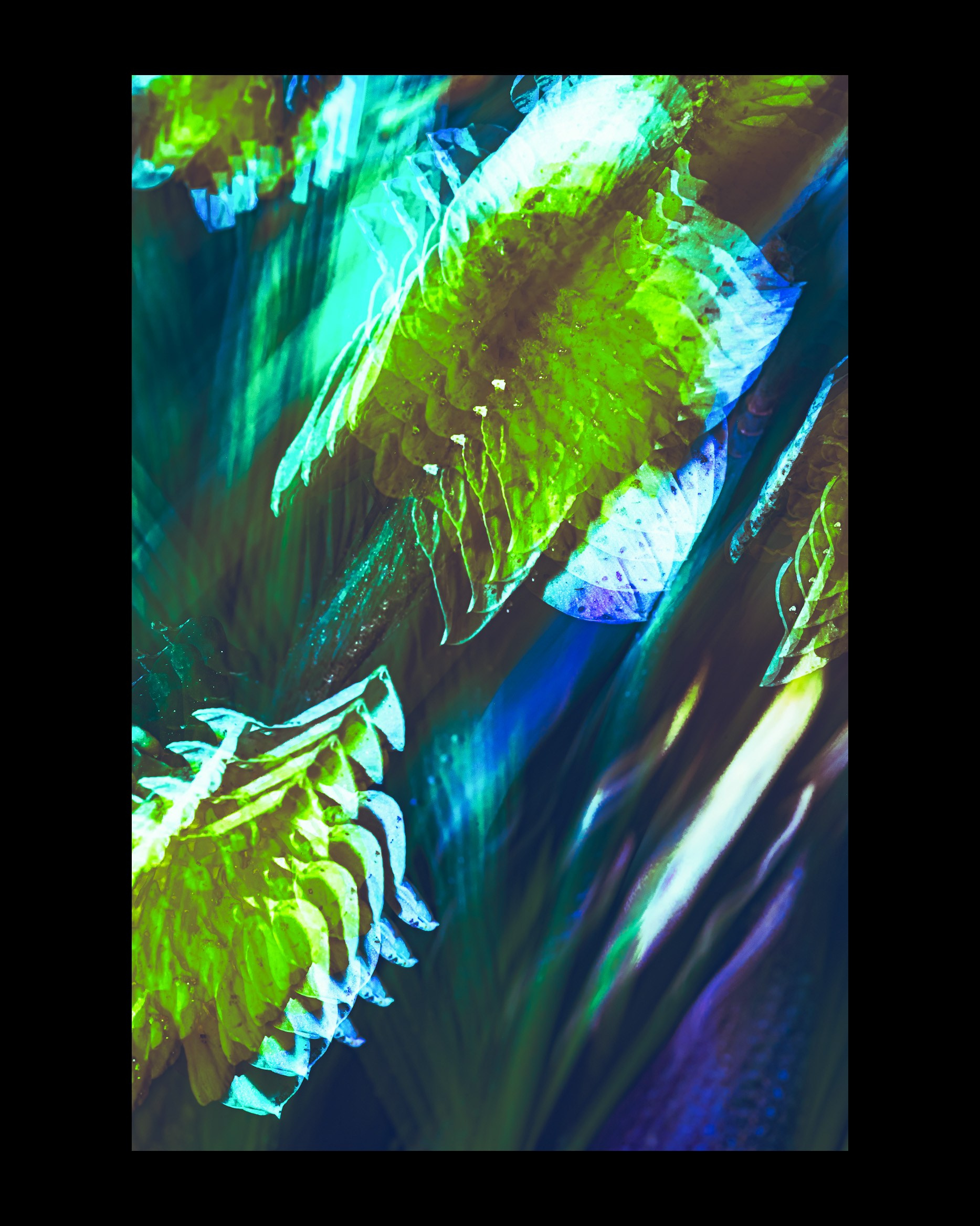 ARTDOC MAGAZINE Online Exhibitions. Ekaterina Tsurkina-Appina Photography Canada