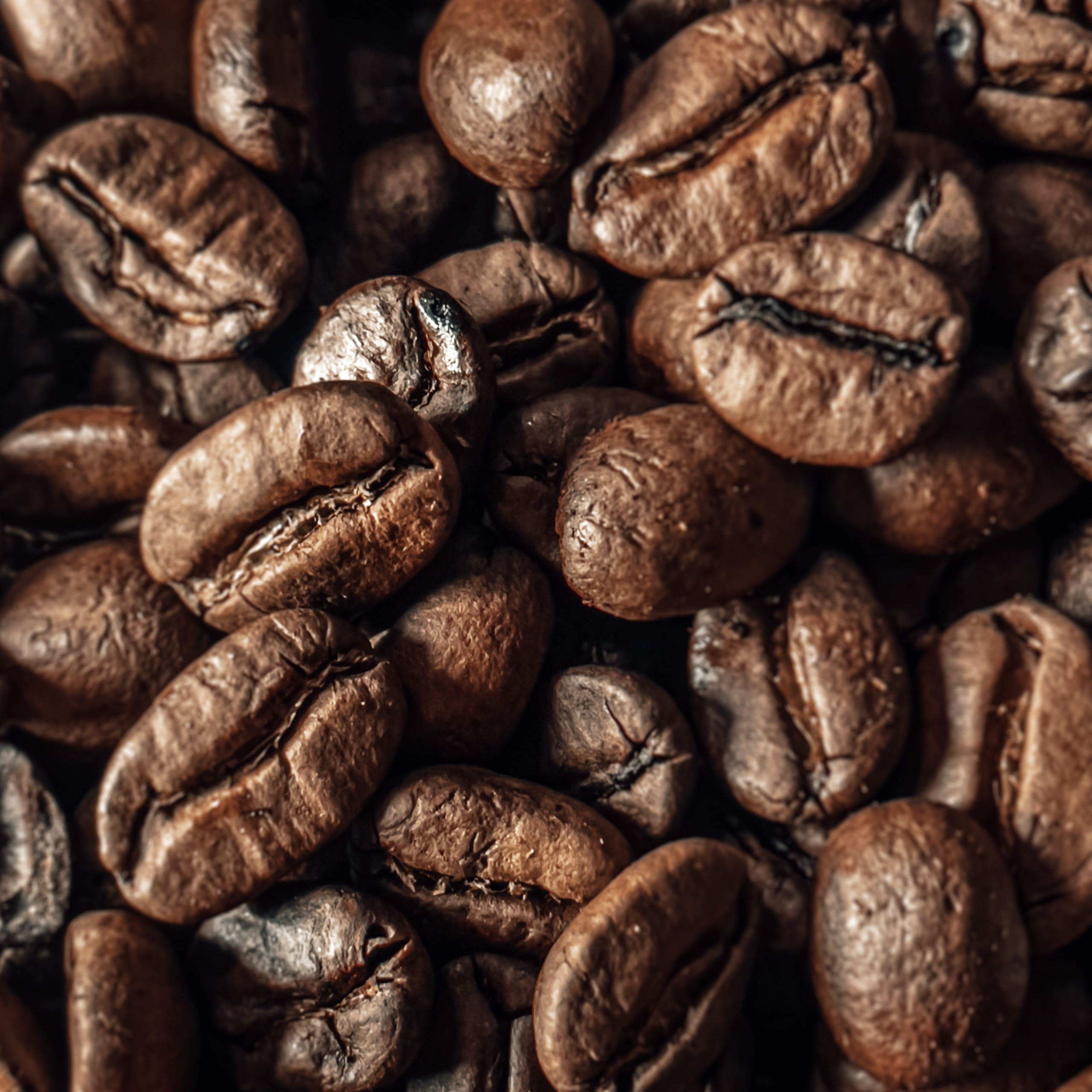 Food Content Creator for Local Cafes and Restaurants in Los Angeles