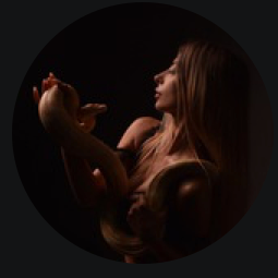 PRO Движение