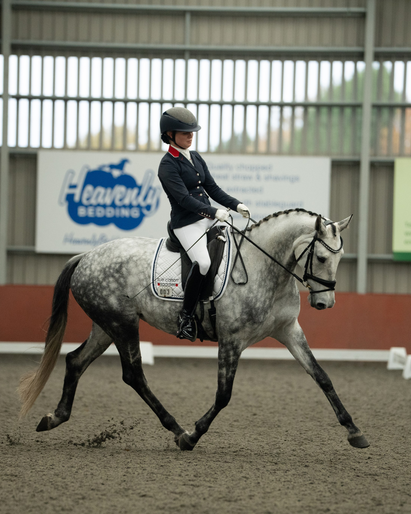 Young rider leading horse in smart equestrian attire before a show