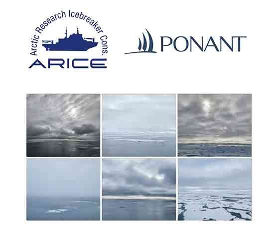 Phenomenology of Light in the Arctic Environment. NEWS AND CONFERENCES