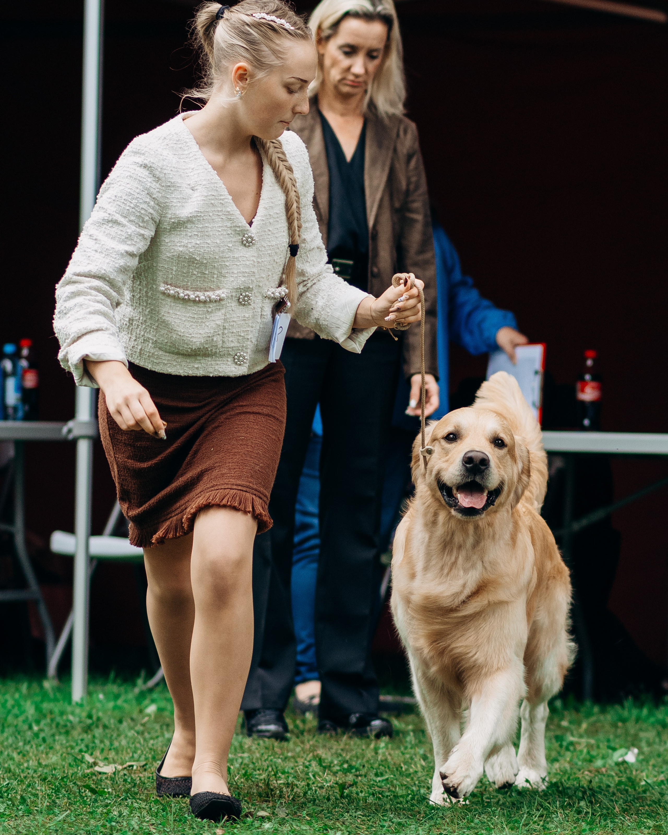 Dog show photography. Kat Laisaar — Pet photographer in Tallinn