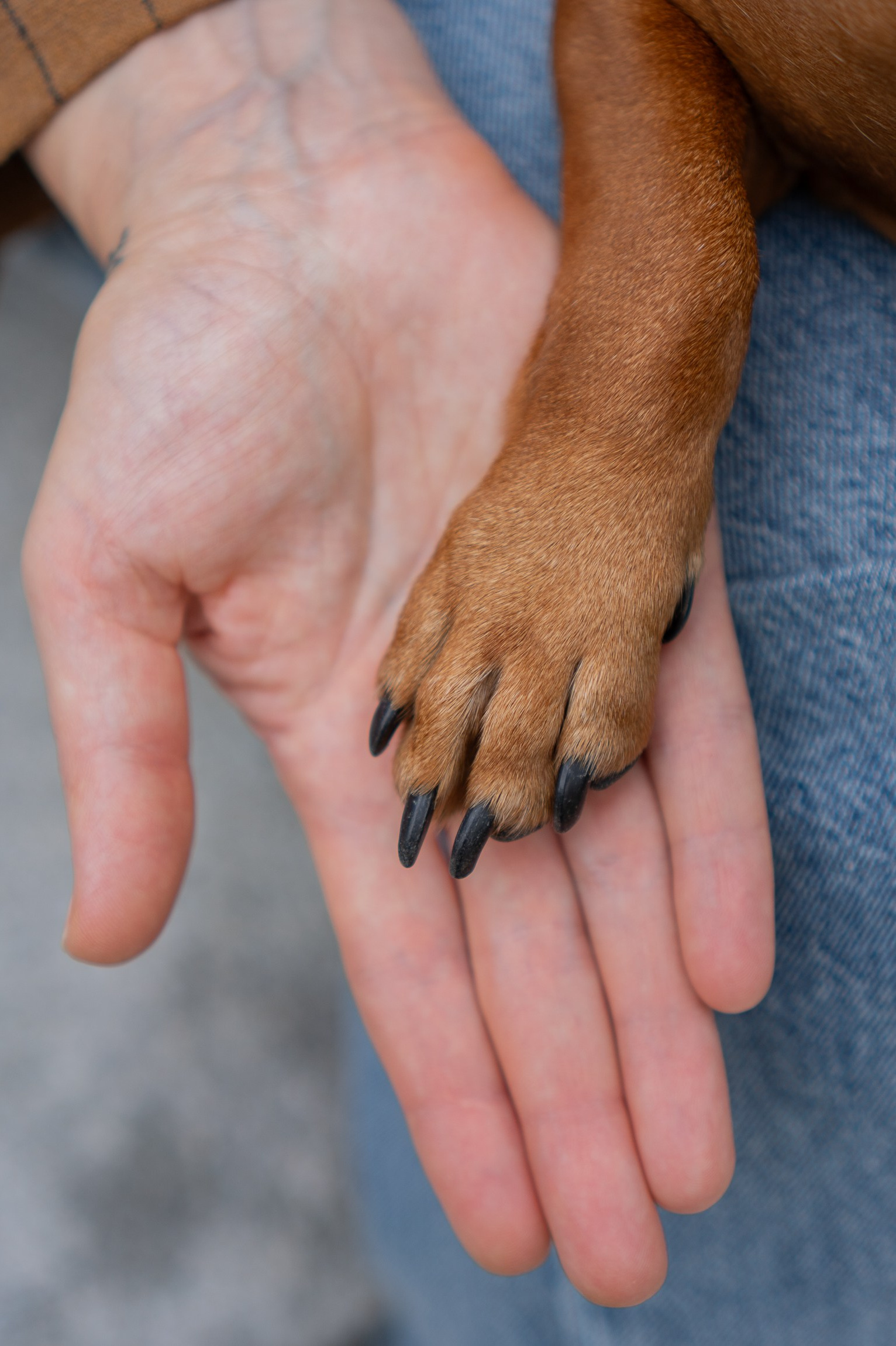 Across the World Together. Central Florida The Villages, Lady Lake Photography
