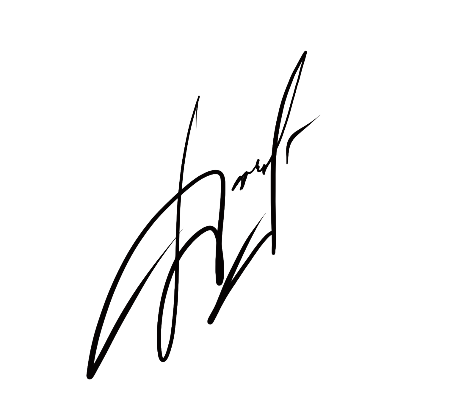 STATEMENT. MULTIDISCIPLINARY ART GA · DASHI