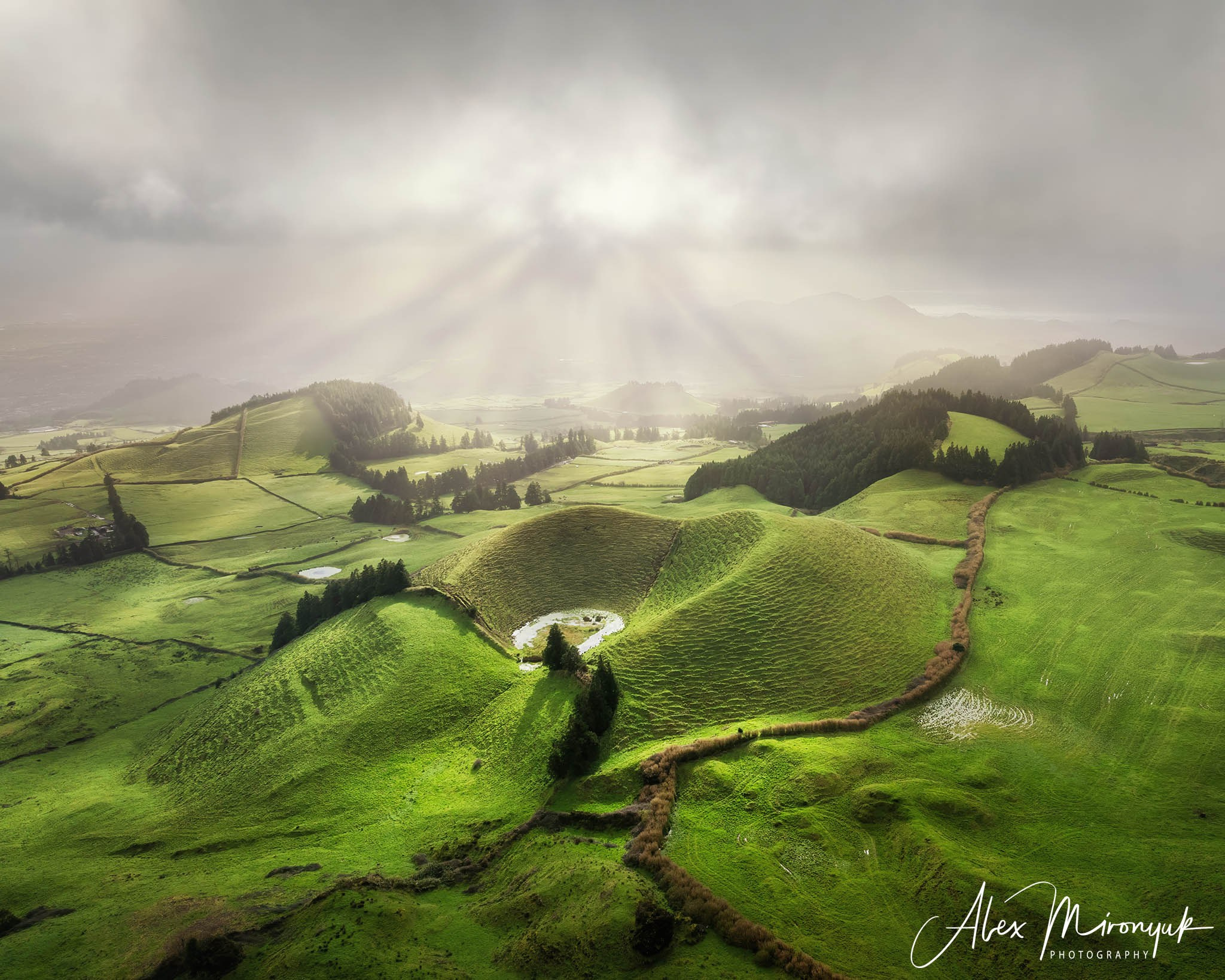 Madeira And Azores. Pet, Senior, Landscape, portrait studio, photographer in Miami and Sou