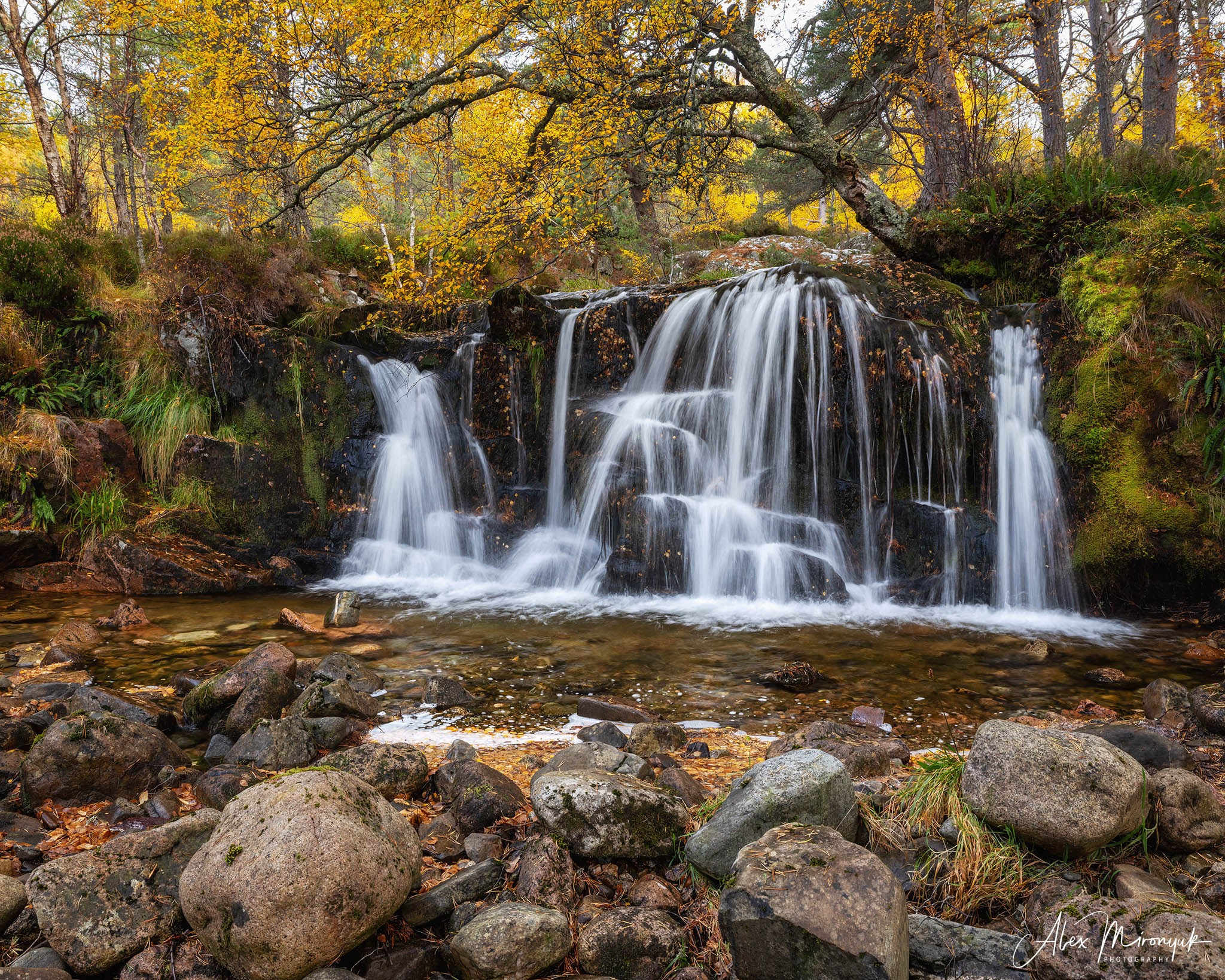 Scotland’s Highlands. Pet, Senior, Landscape, portrait studio, photographer in Miami and Sou