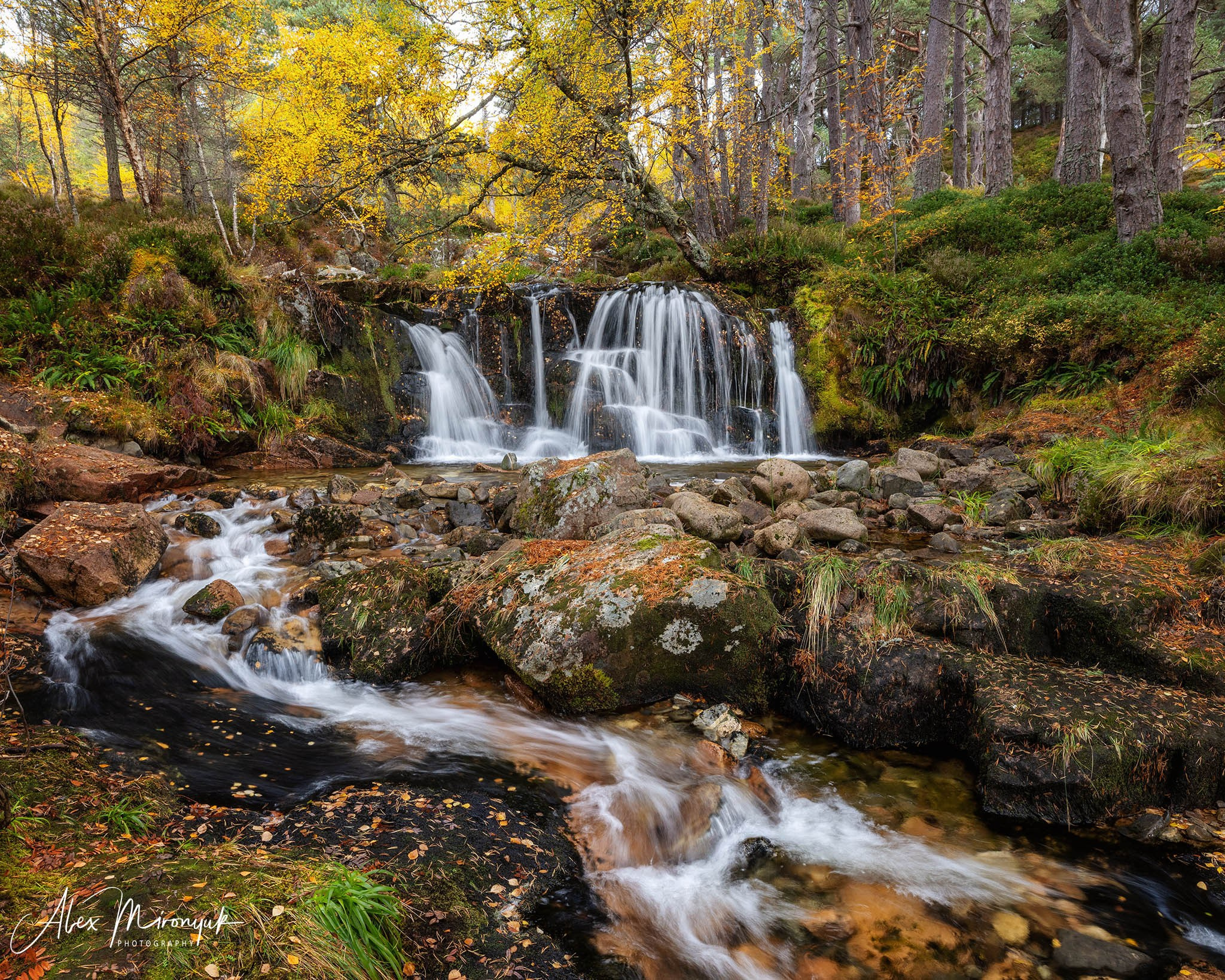 Scotland’s Highlands. Pet, Senior, Landscape, portrait studio, photographer in Miami and Sou