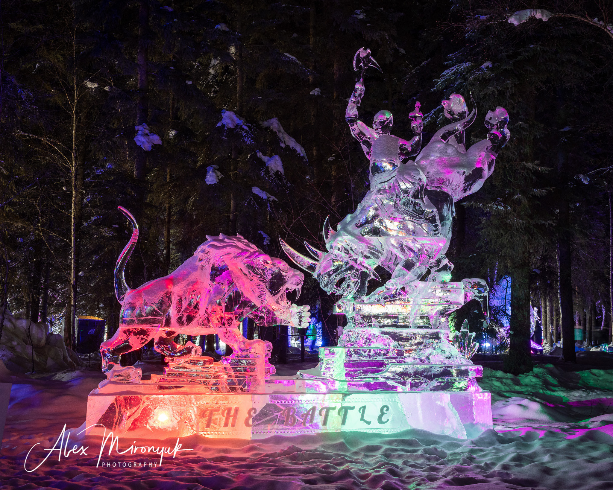 Ice Caves Adventure. Pet, Senior, Landscape, portrait studio, photographer in Miami and Sou