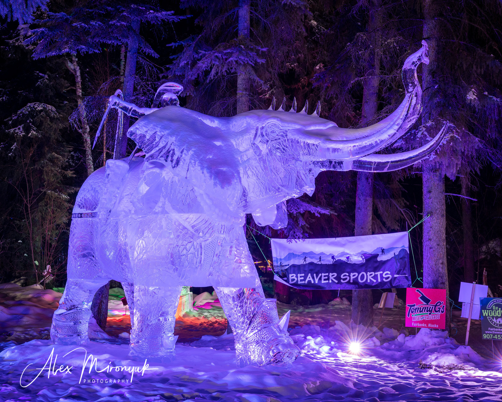 Chasing the Aurora Borealis. Pet, Senior, Landscape, portrait studio, photographer in Miami and Sou