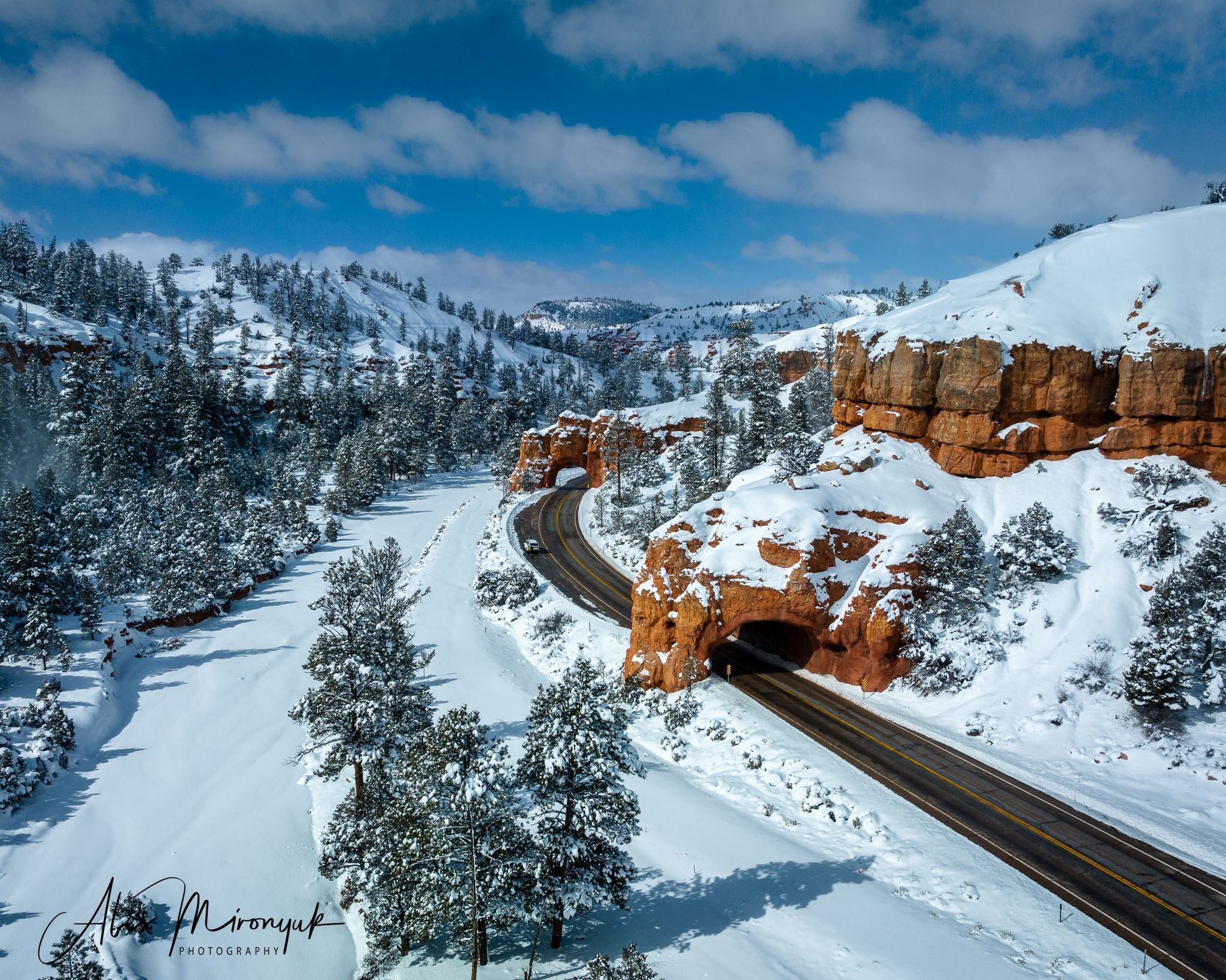 New Year In Utah. Pet, Senior, Landscape, portrait studio, photographer in Miami and Sou