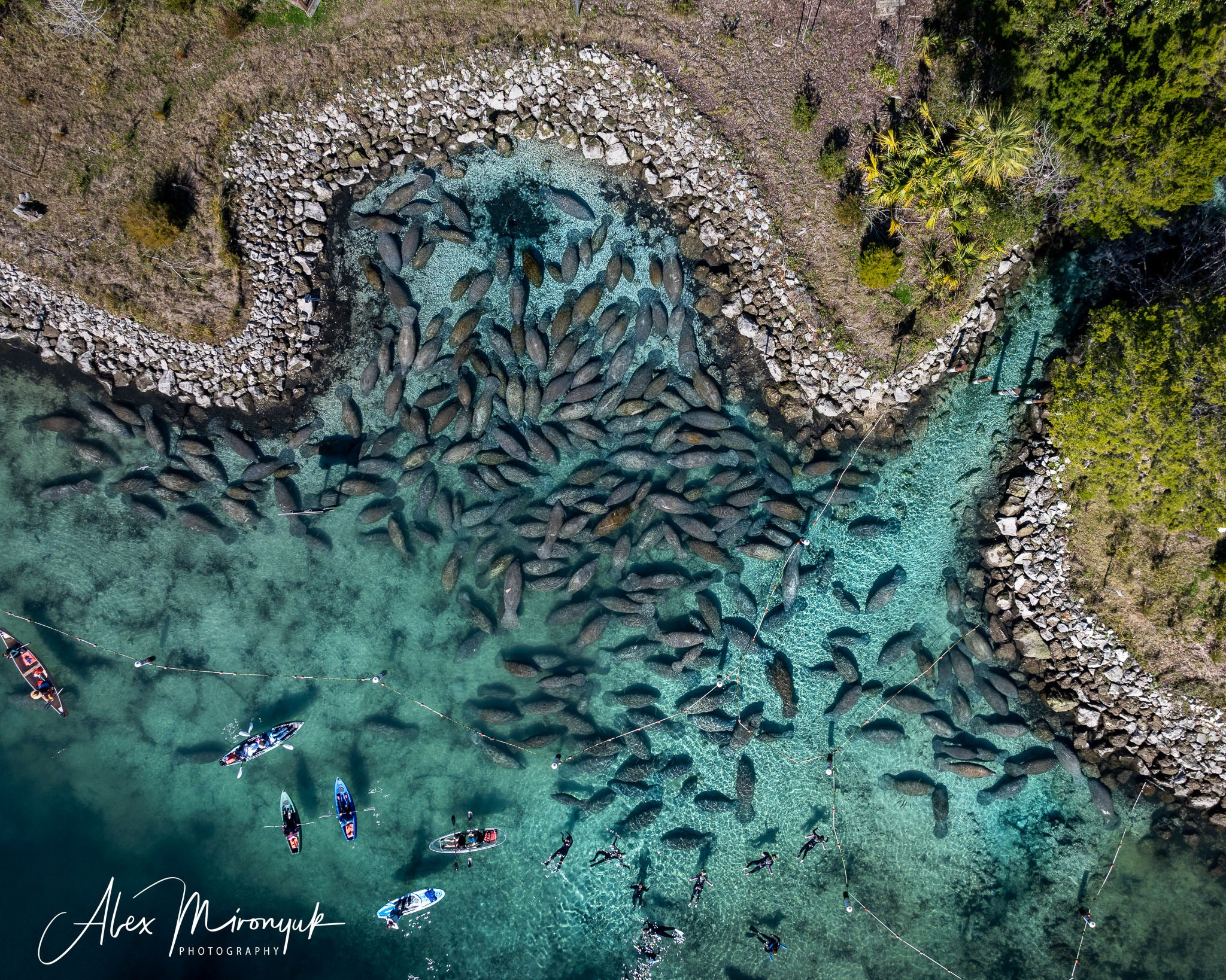 Exploring True Florida: Springs, Rivers & Manatees by Canoe. Pet, Senior, Landscape, portrait studio, photographer in Miami and Sou
