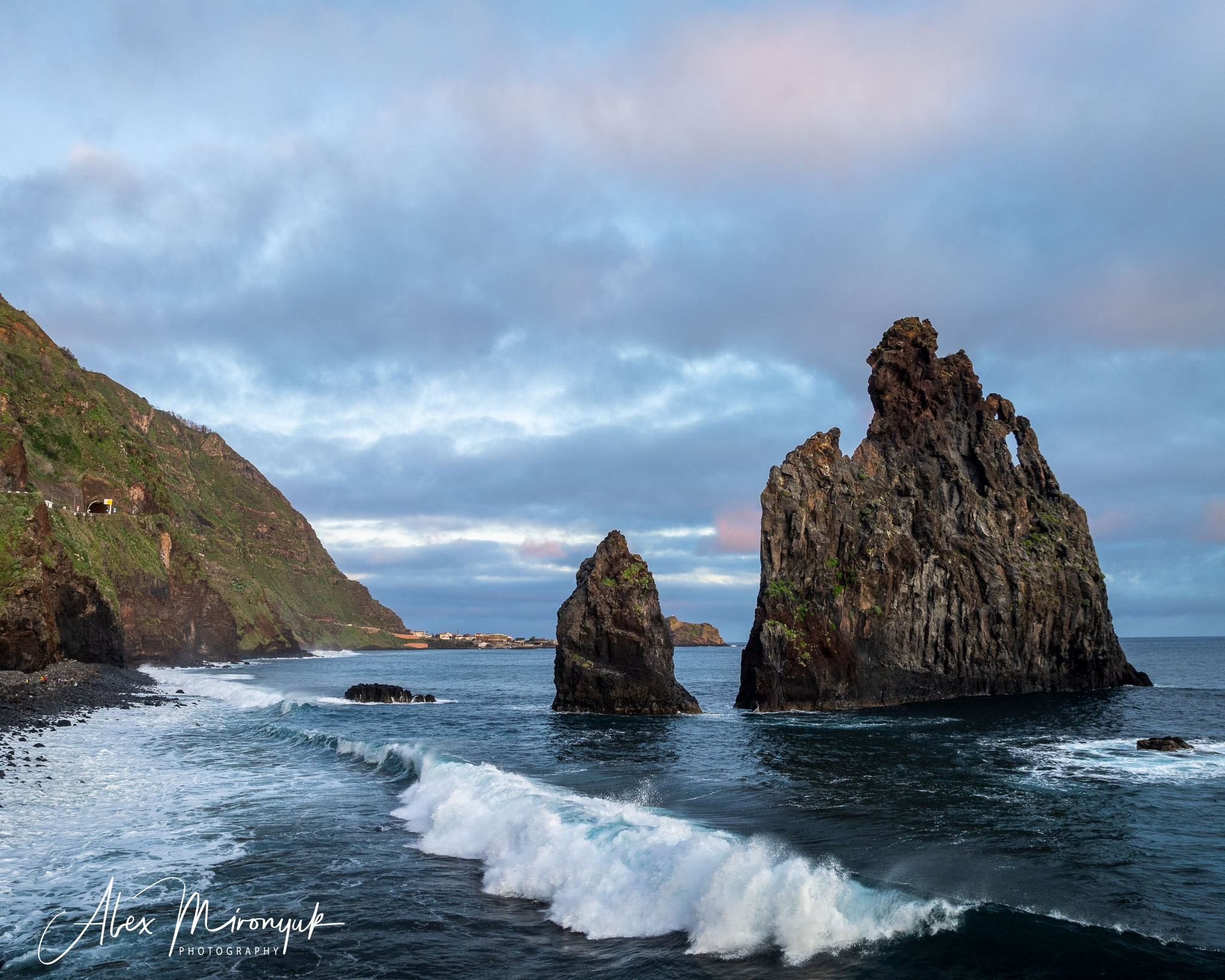 Madeira And Azores. Pet, Senior, Landscape, portrait studio, photographer in Miami and Sou