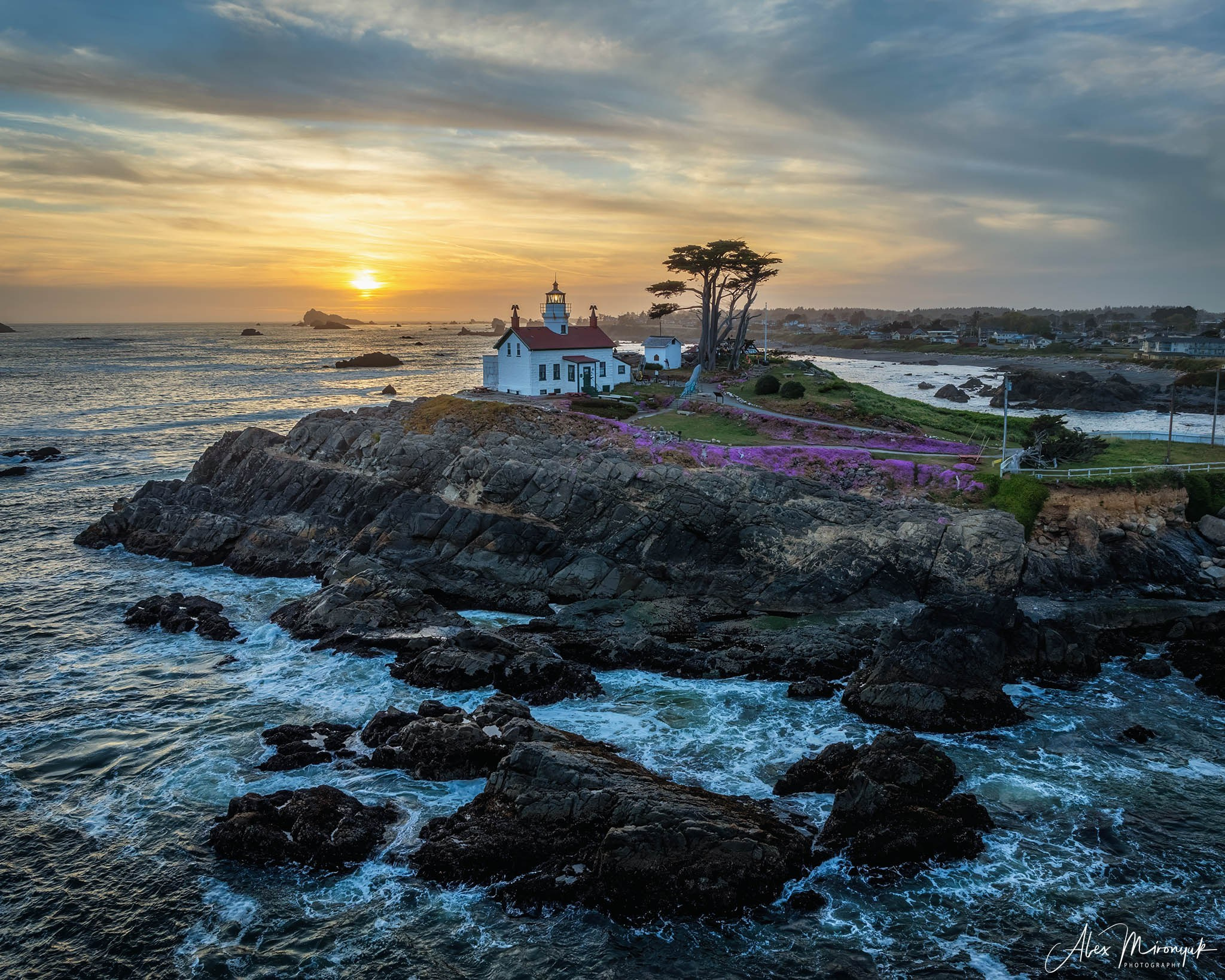 From Crater Lake to the Coast — A Photographer’s Journey. Pet, Senior, Landscape, portrait studio, photographer in Miami and Sou