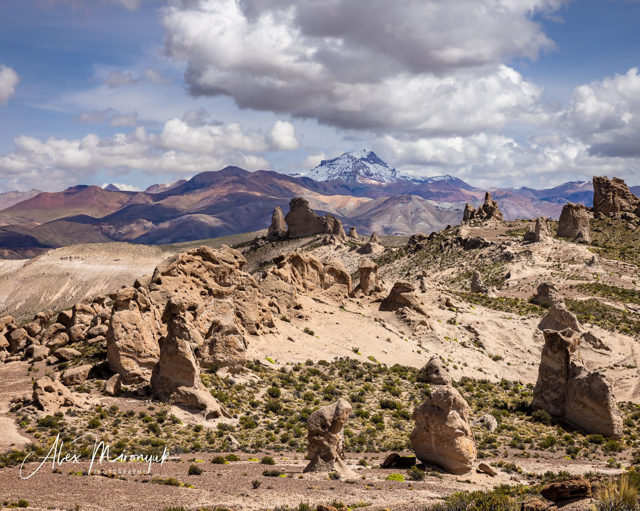 Bolivia Adventure. Pet, Senior, Landscape, portrait studio, photographer in Miami and Sou