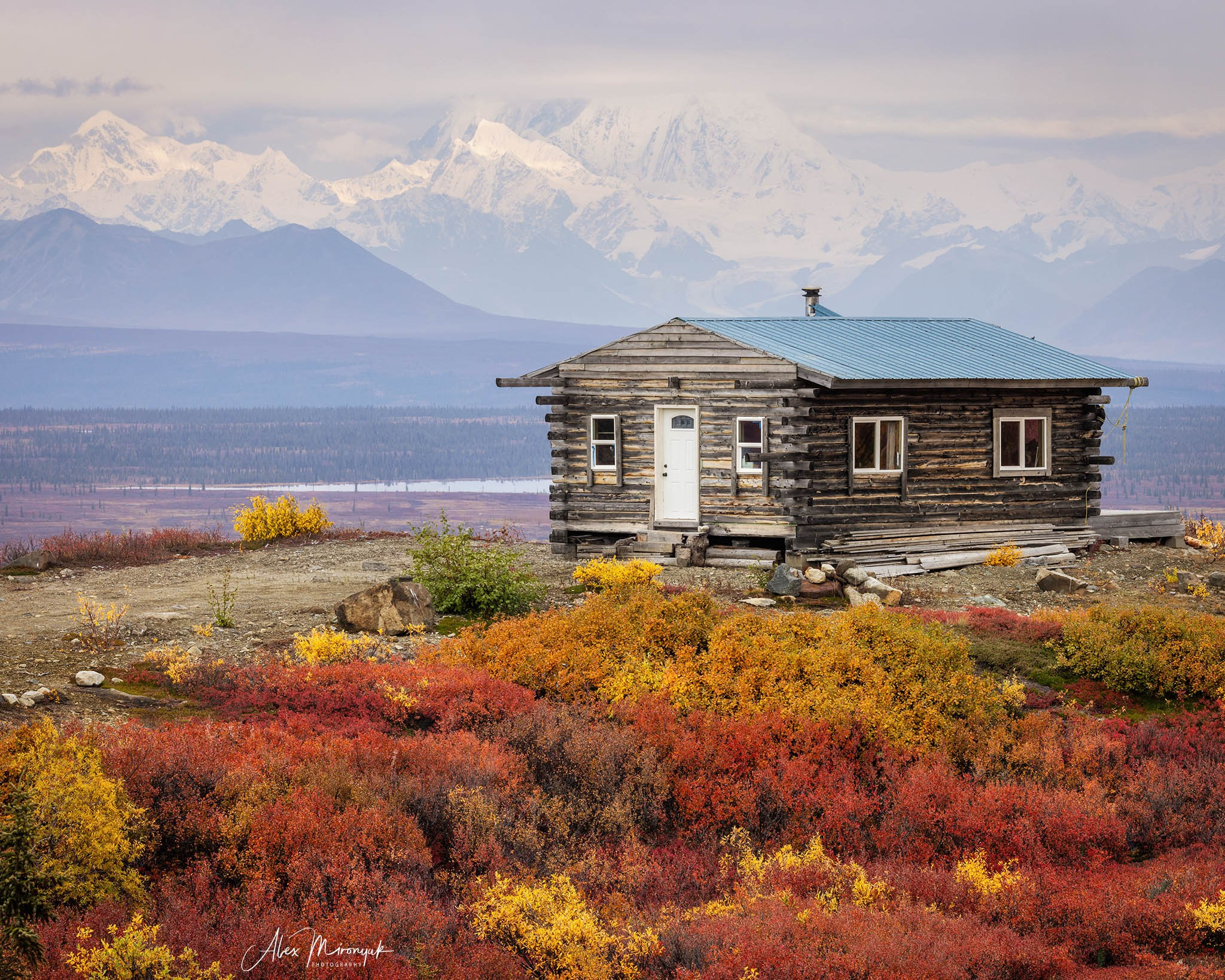 Alaskan Fall Colors. Pet, Senior, Landscape, portrait studio, photographer in Miami and Sou