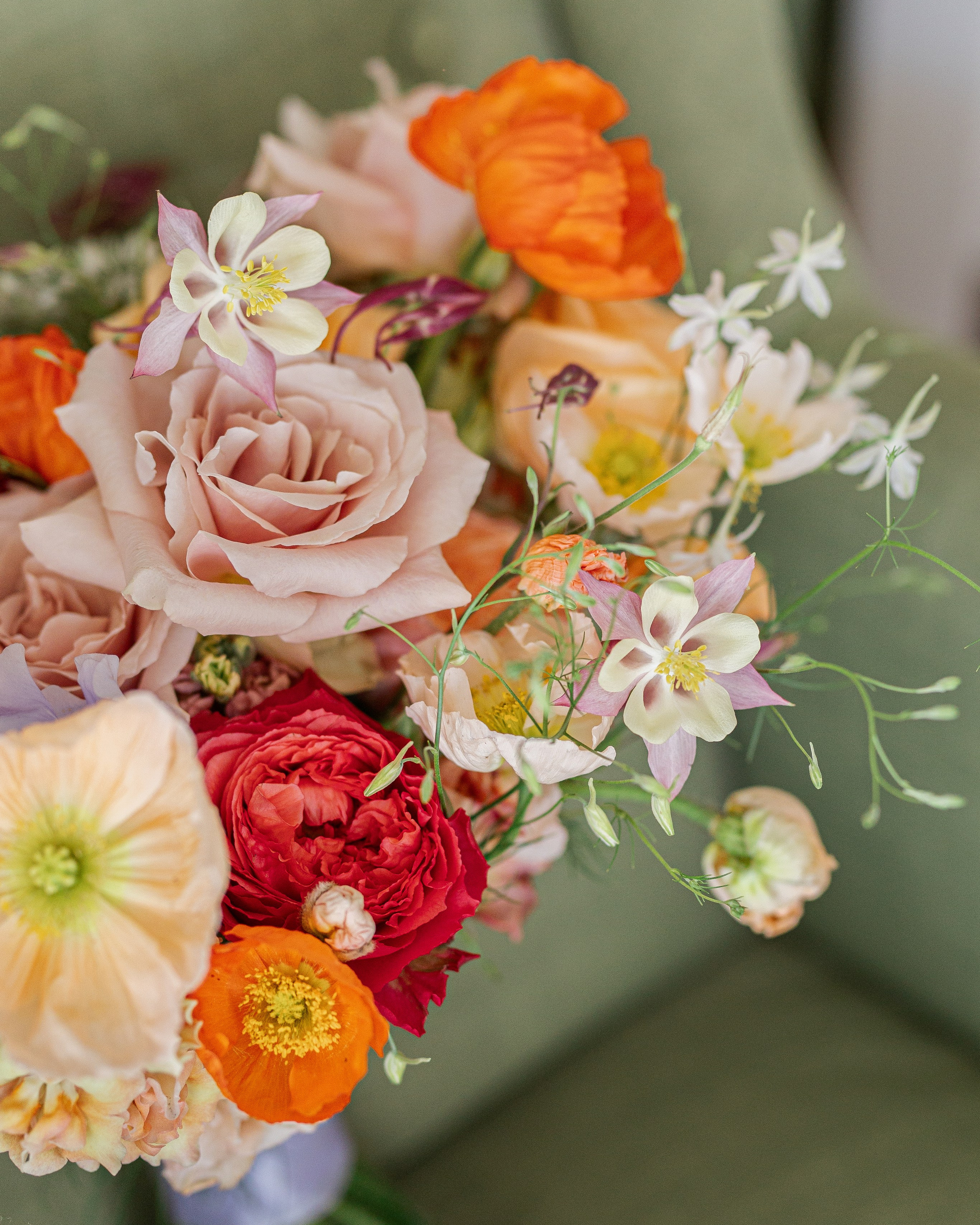 Photography prices. Dagneshi Photography