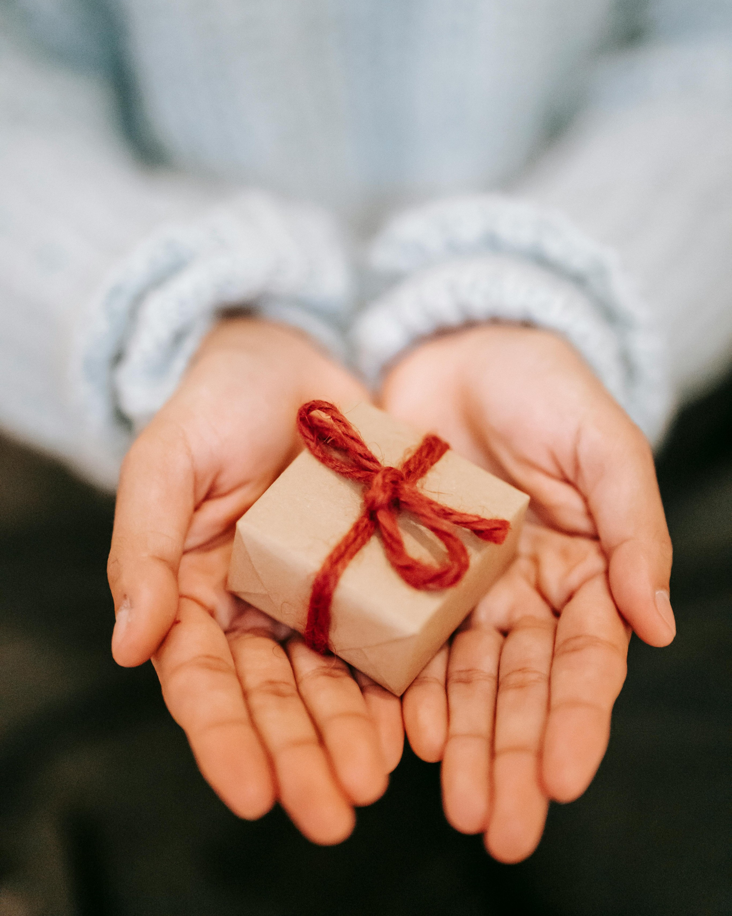 Navidad 2025. Fotos con huella, fotografía de perros y mascotas en Sevilla