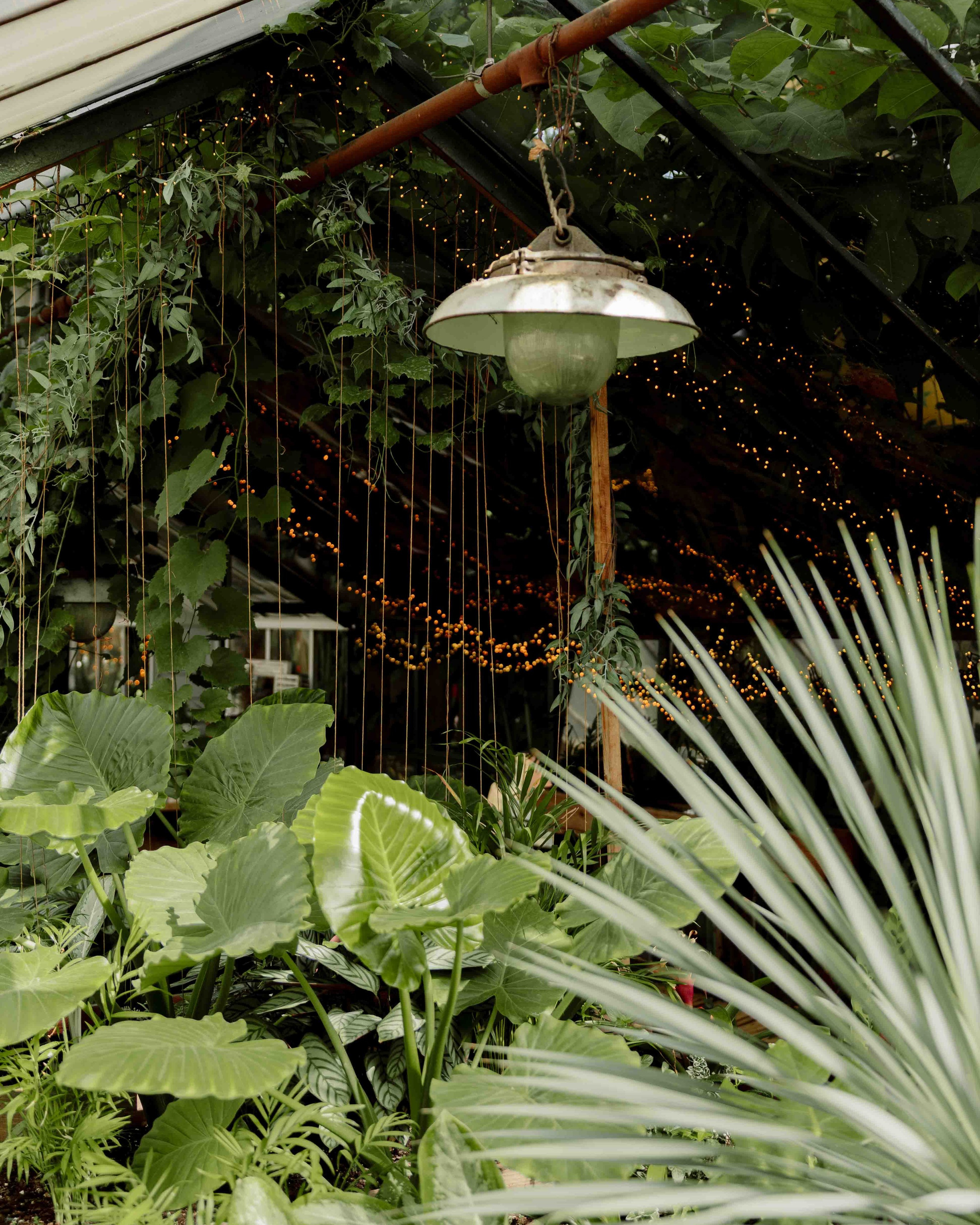 Panama Food Garden — vieta elegantiškoms ir jaukioms vestuvėms. Framed by Evelina | Vestuvių fotografė