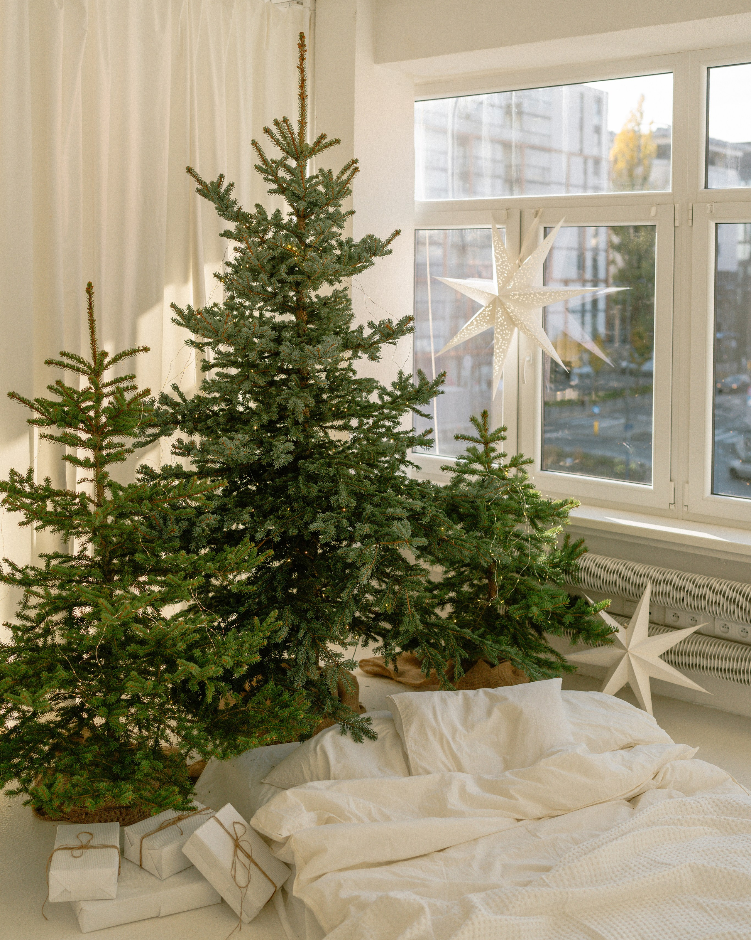 Студії новорічні. Весільний, сімейний фотограф Варшава