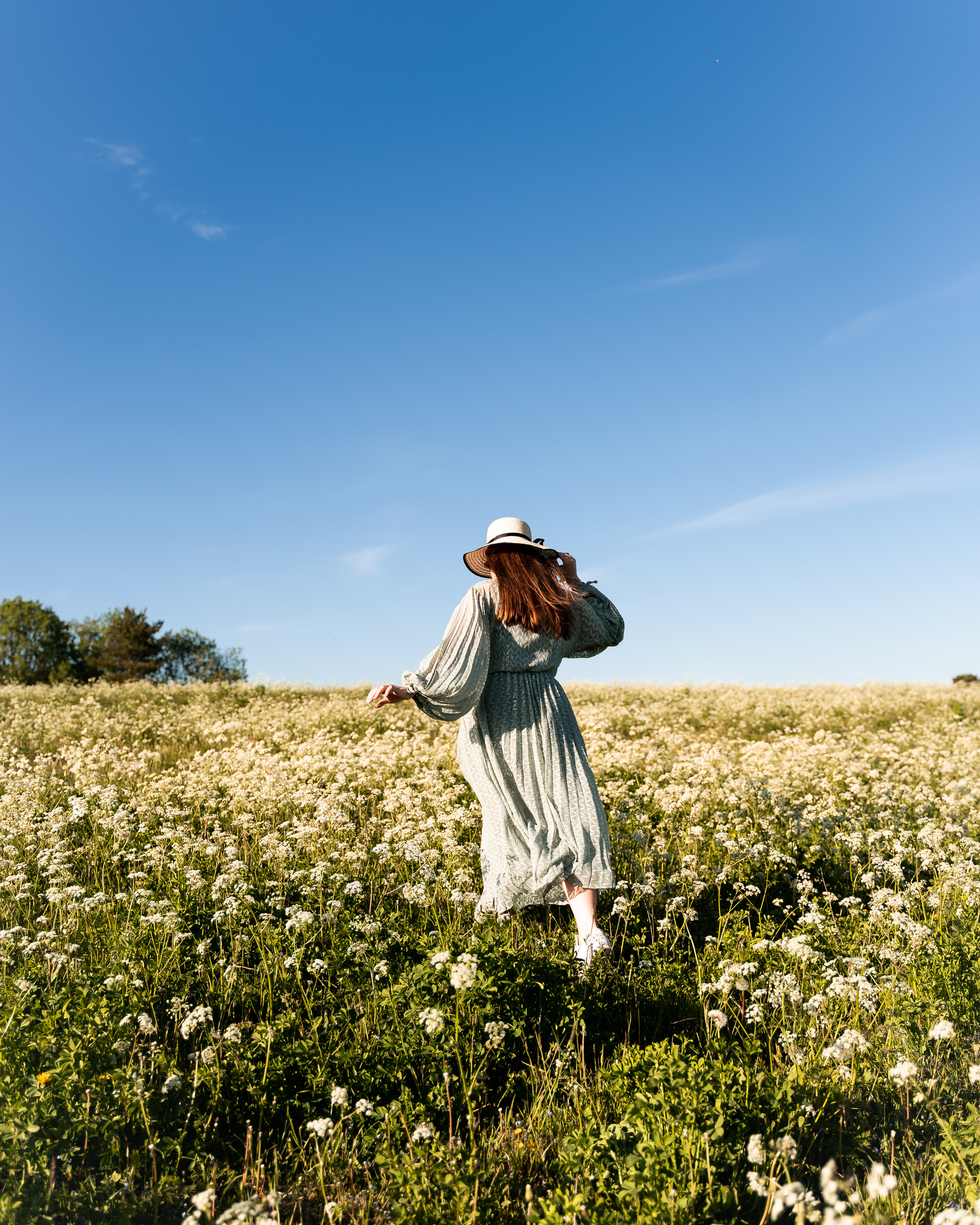 Denshyr — Visual Artist