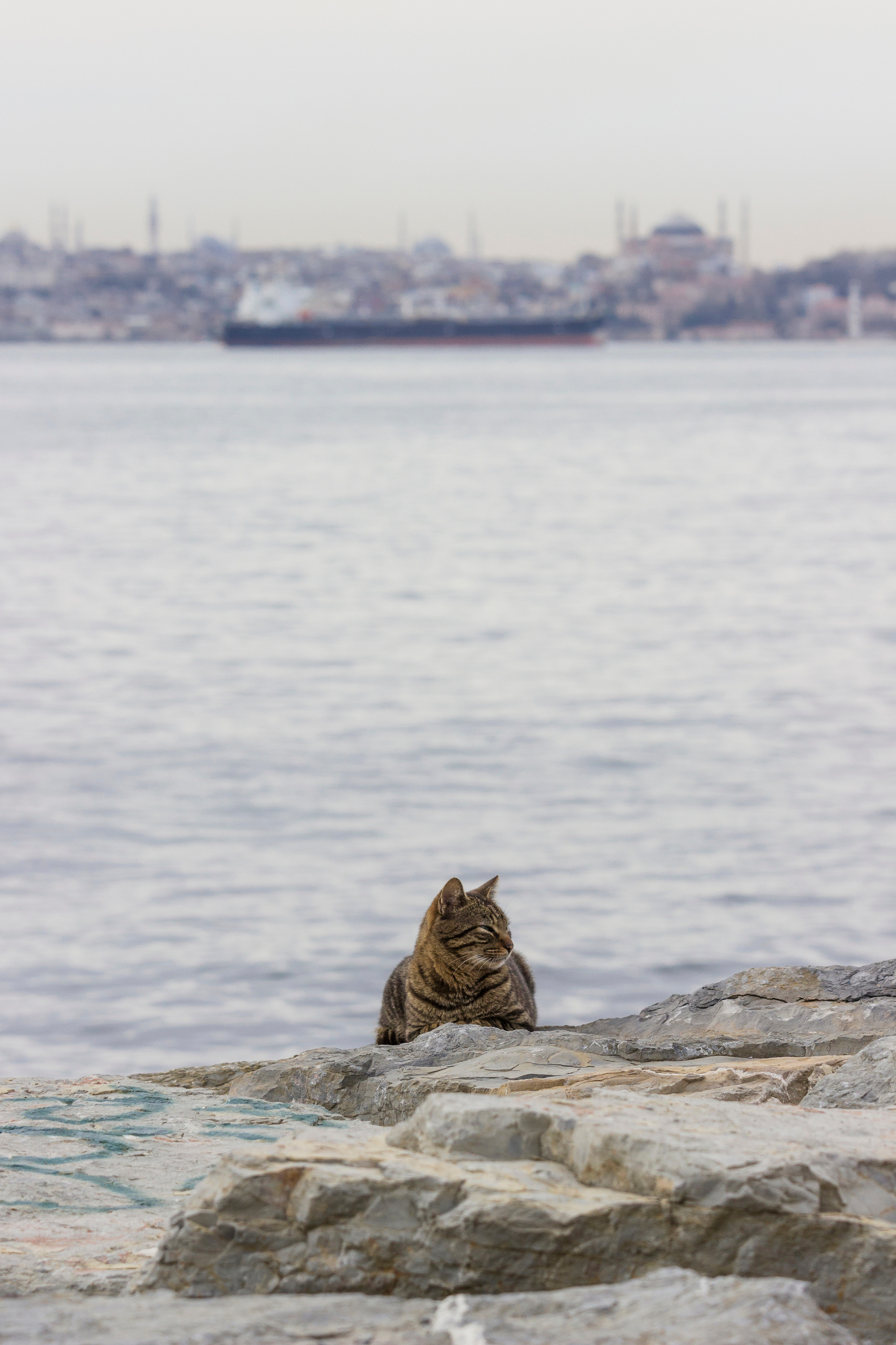Istambul. Photographer ~ based in vilnius ~
