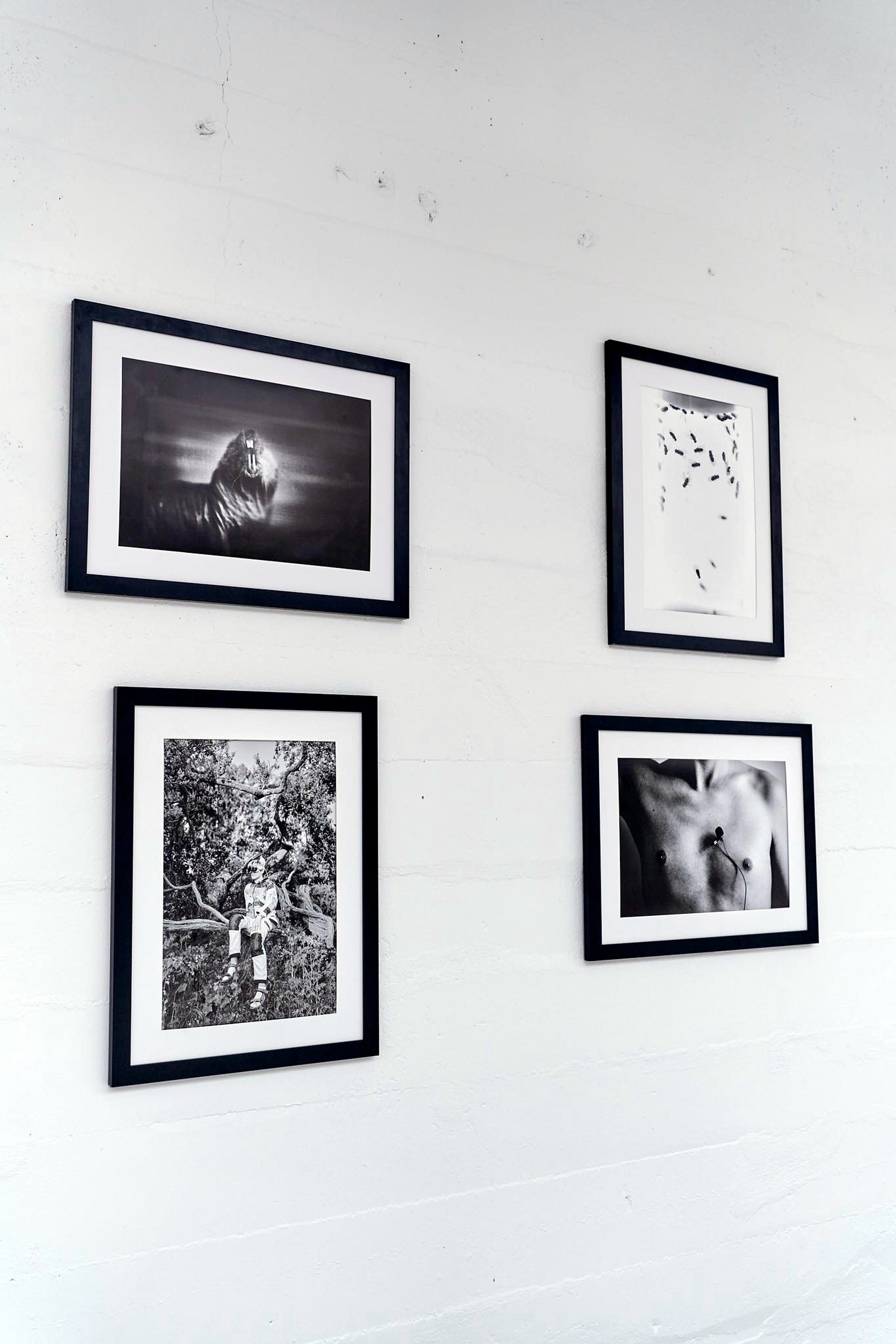 Exhibitions. GLISH ART — Timofey Glinin & Anastasia Shubina