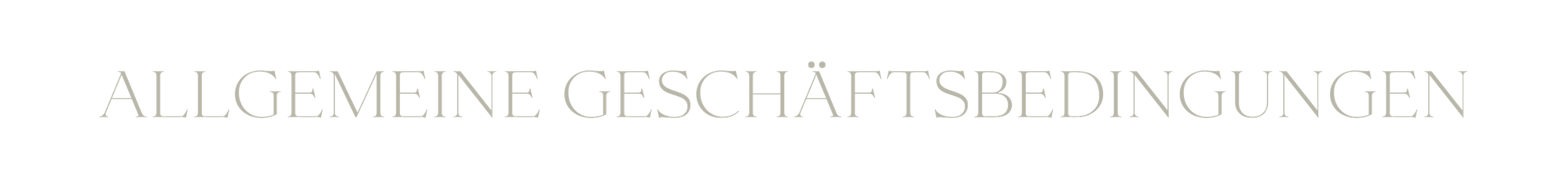 AGB für Fotografen: Wichtige Regelungen einfach erklärt