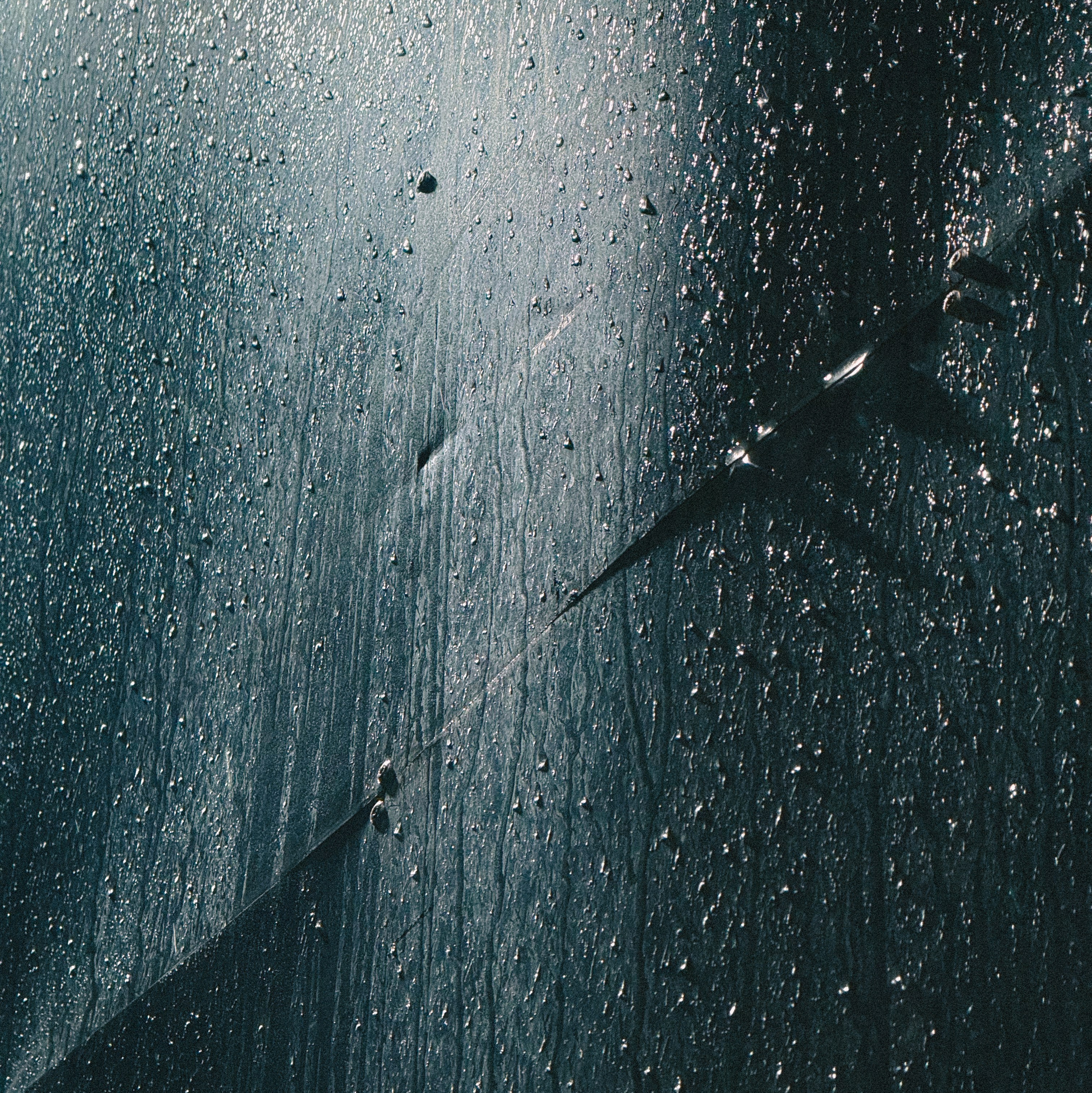 Обо мне. Анастасия Еремина | Фотограф в Сербии | Персональные и бизнес-фотосессии в Белграде и Нови Саде