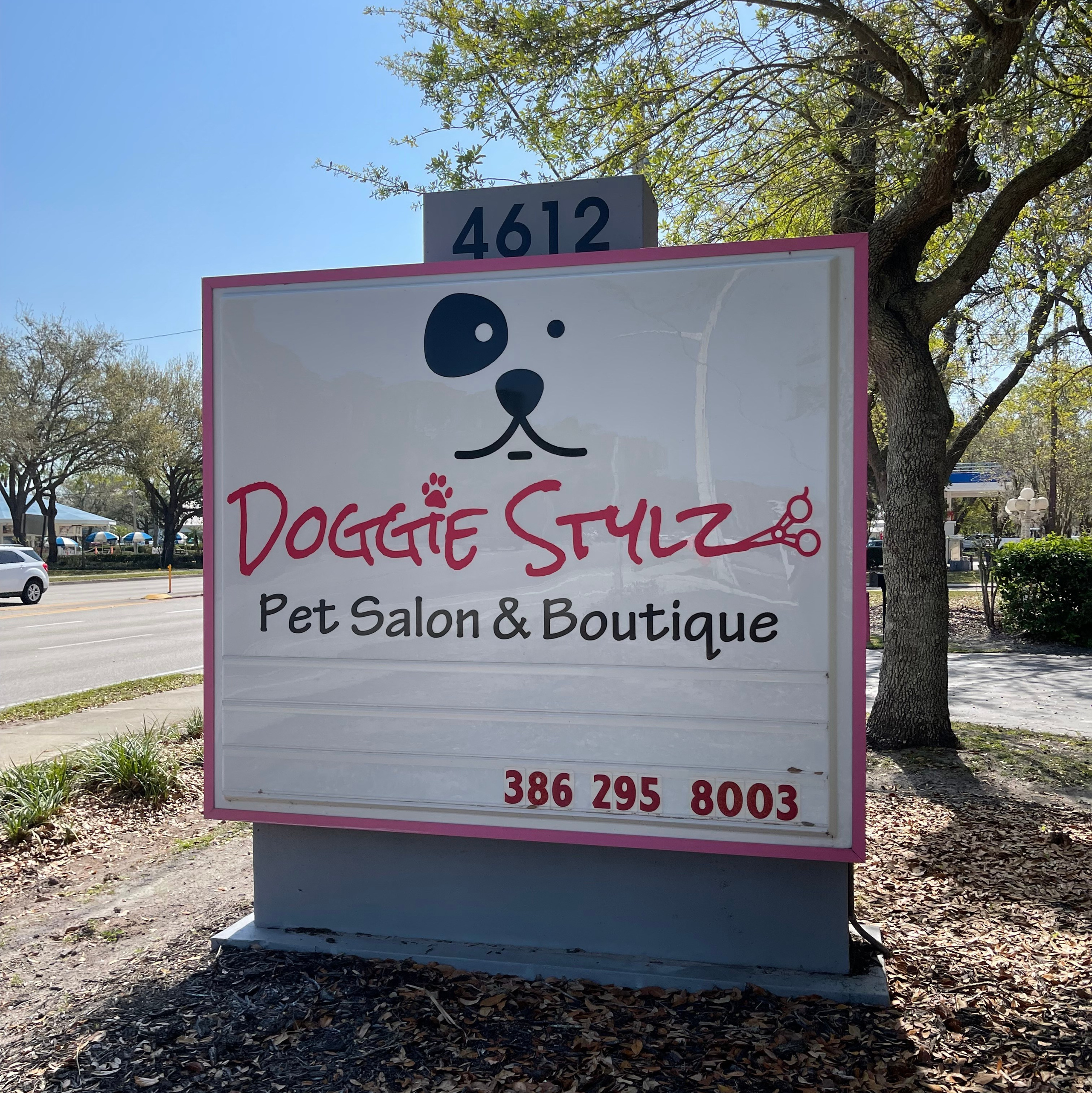 Doggie Stylz Pet Salon