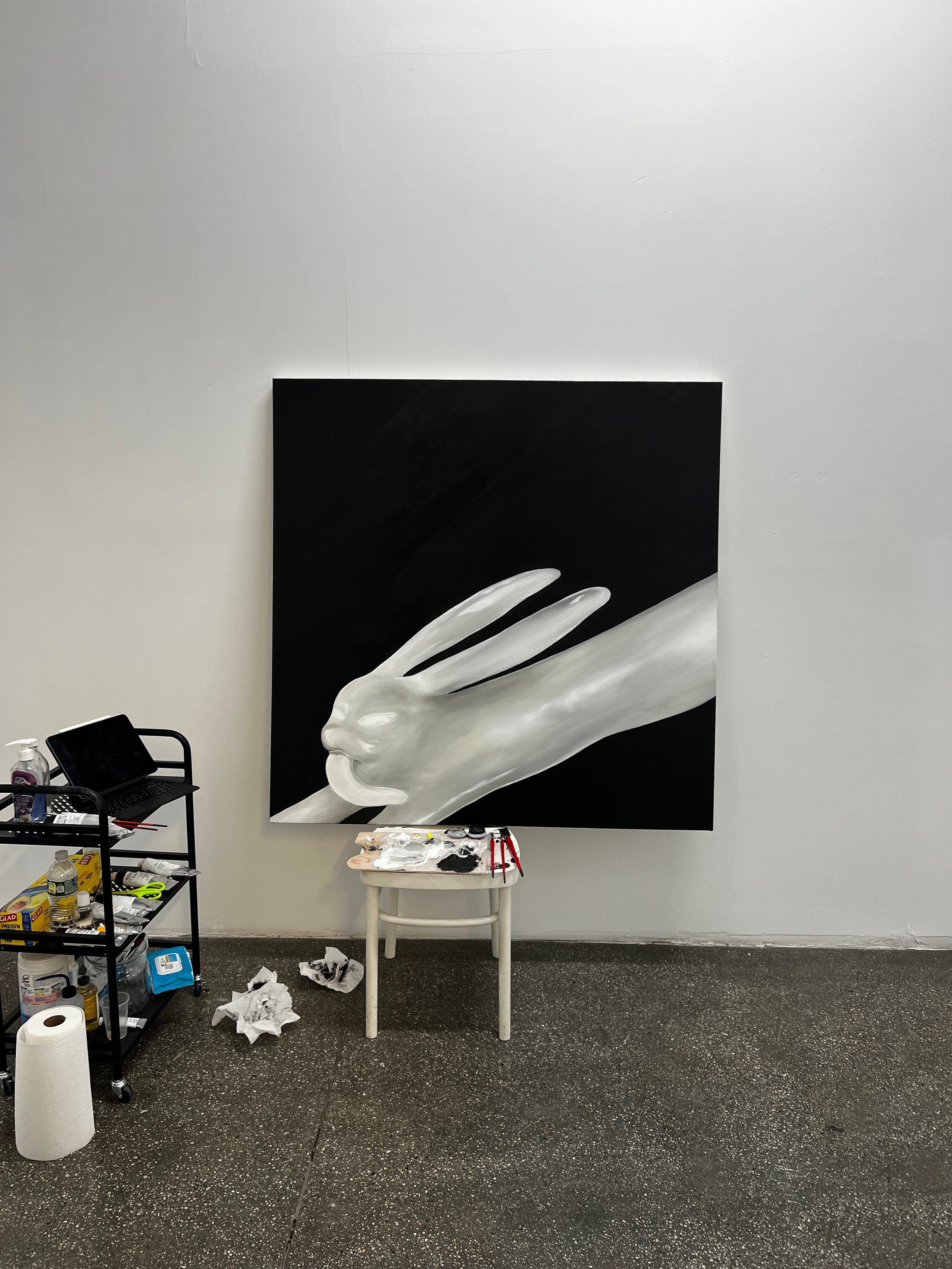 PAINTINGS. Contemporary artist in New York City Lilia Ana