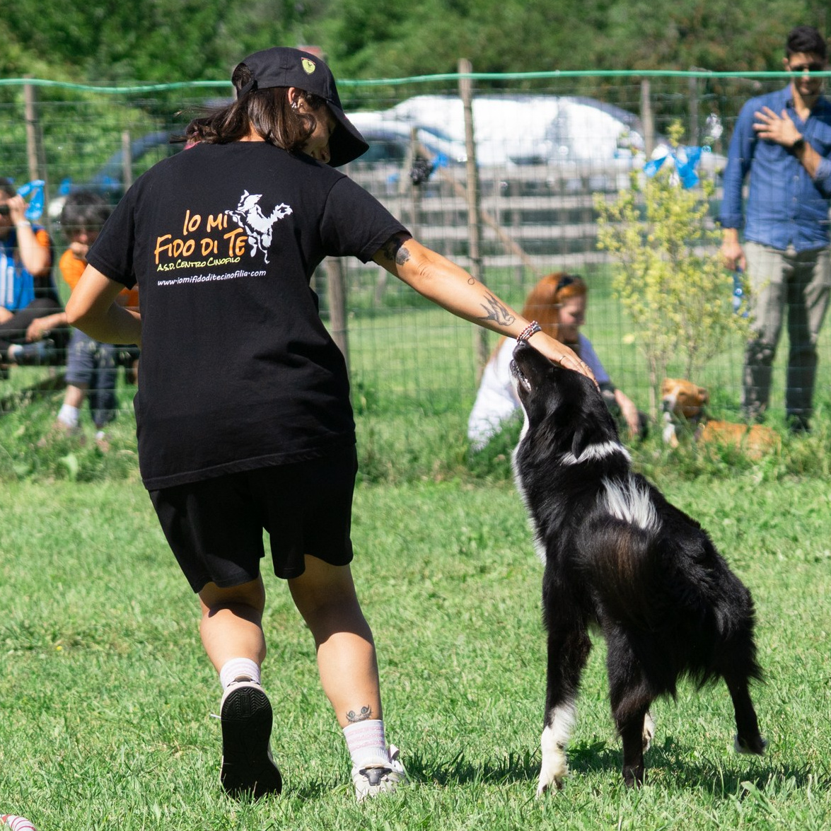 condutricce di hoopers con una maglietta nera e pantaloncini neri guida un cane bianco e nero attraverso un percorso di hoopers all'aperto. La ragazza tiene il collare del cane e lo accarezza per complimentarlo. Il percorso include vari elementi, come un cerchio e pali numerati. Sullo sfondo, ci sono spettatori che osservano e scattano foto. L'area è erbosa e recintata, con alberi e vegetazione che completano l'ambientazione. Sulla schiena della maglietta della persona si legge la frase «Io mi Fido di Te», accompagnata da un'immagine di un cane
