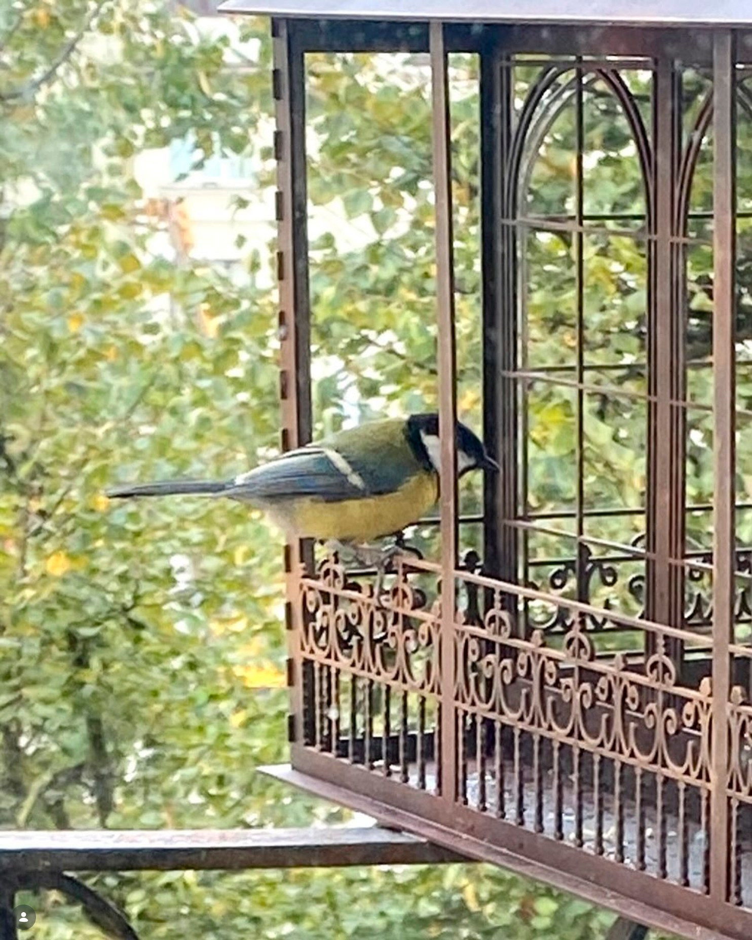 Кормушки для птиц из металла под заказ | Художественная ковка в Минске. Мария Тарлецкая | Скульптура и художественная ковка в Минске