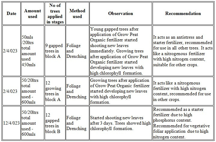 Healthy avocado plants benefiting from Grow Peat organic fertilizer