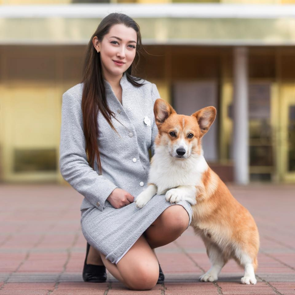 Програма «Хендлер». Репортажний фотограф/анімаліст КИЇВ