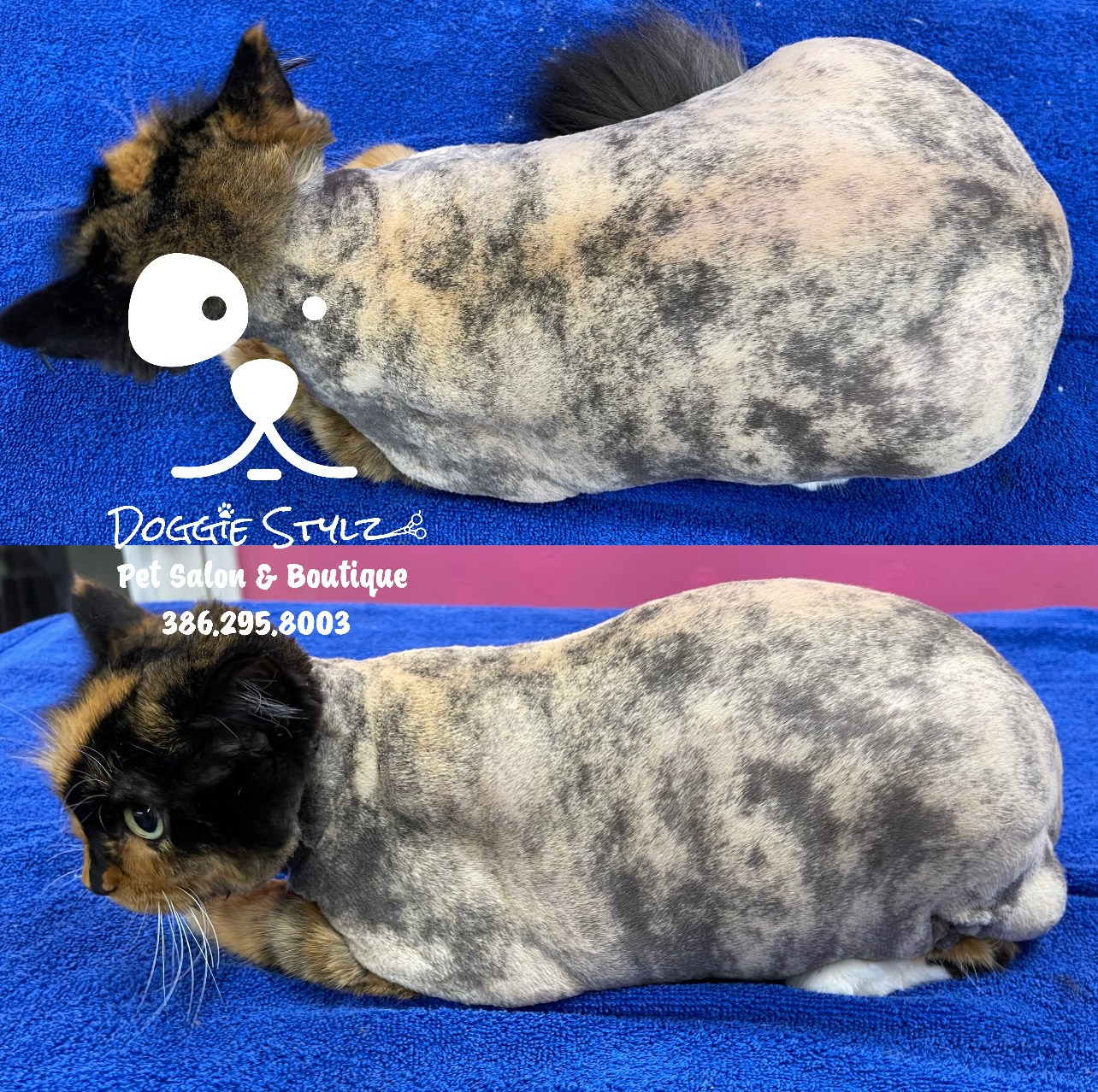 Doggie Stylz Pet Salon