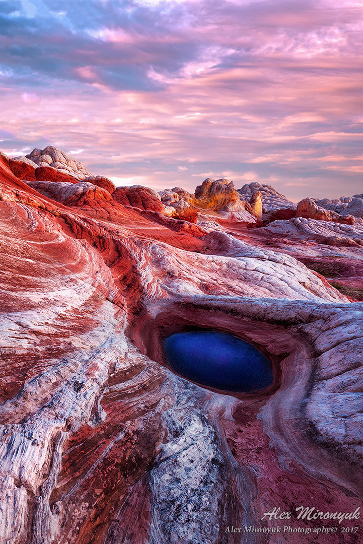 Программа. Alex Mironyuk Photography