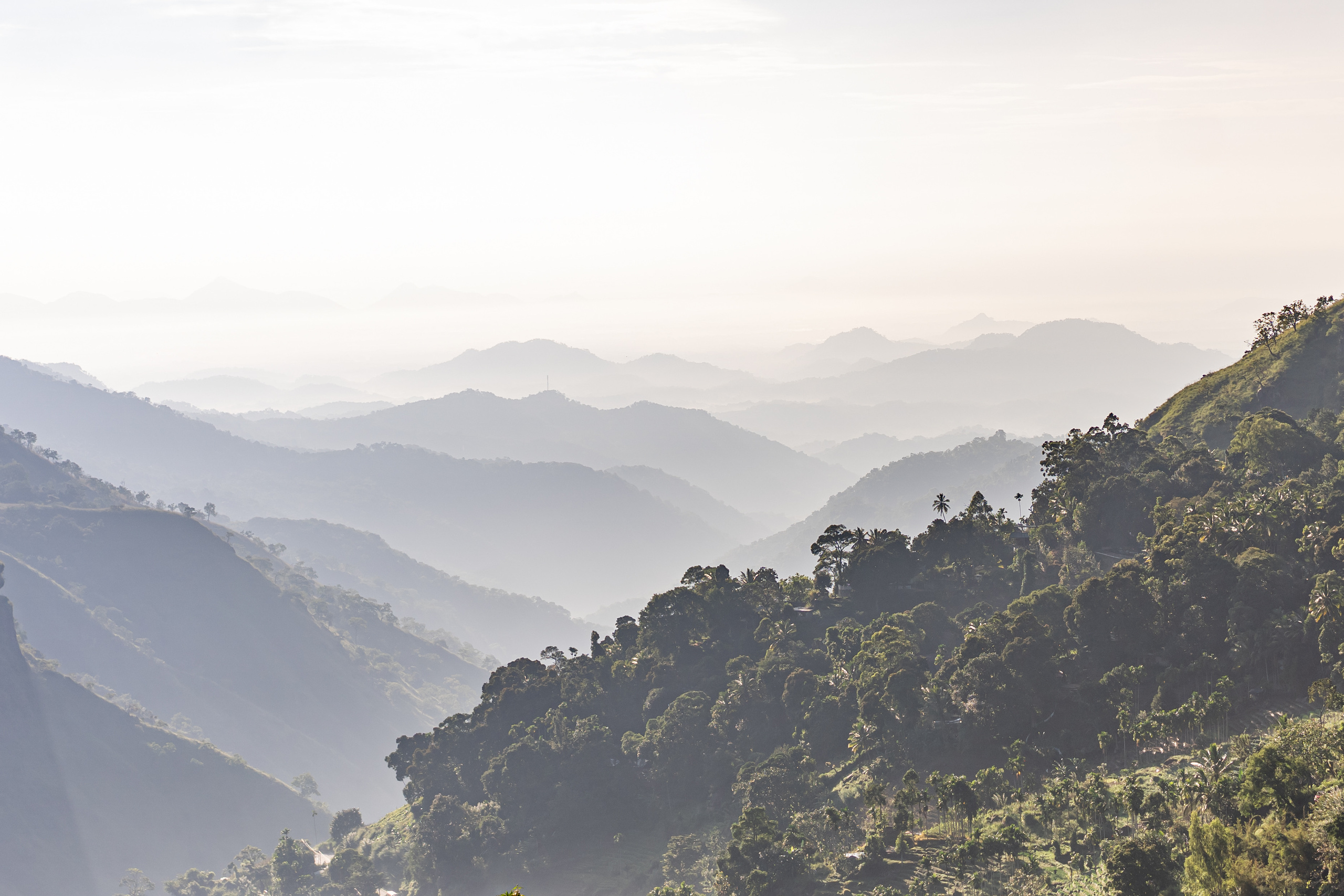 Sri Lanka'ya Seyahat Etmenin Artıları ve Eksileri - Kapsamlı Bir Rehbe