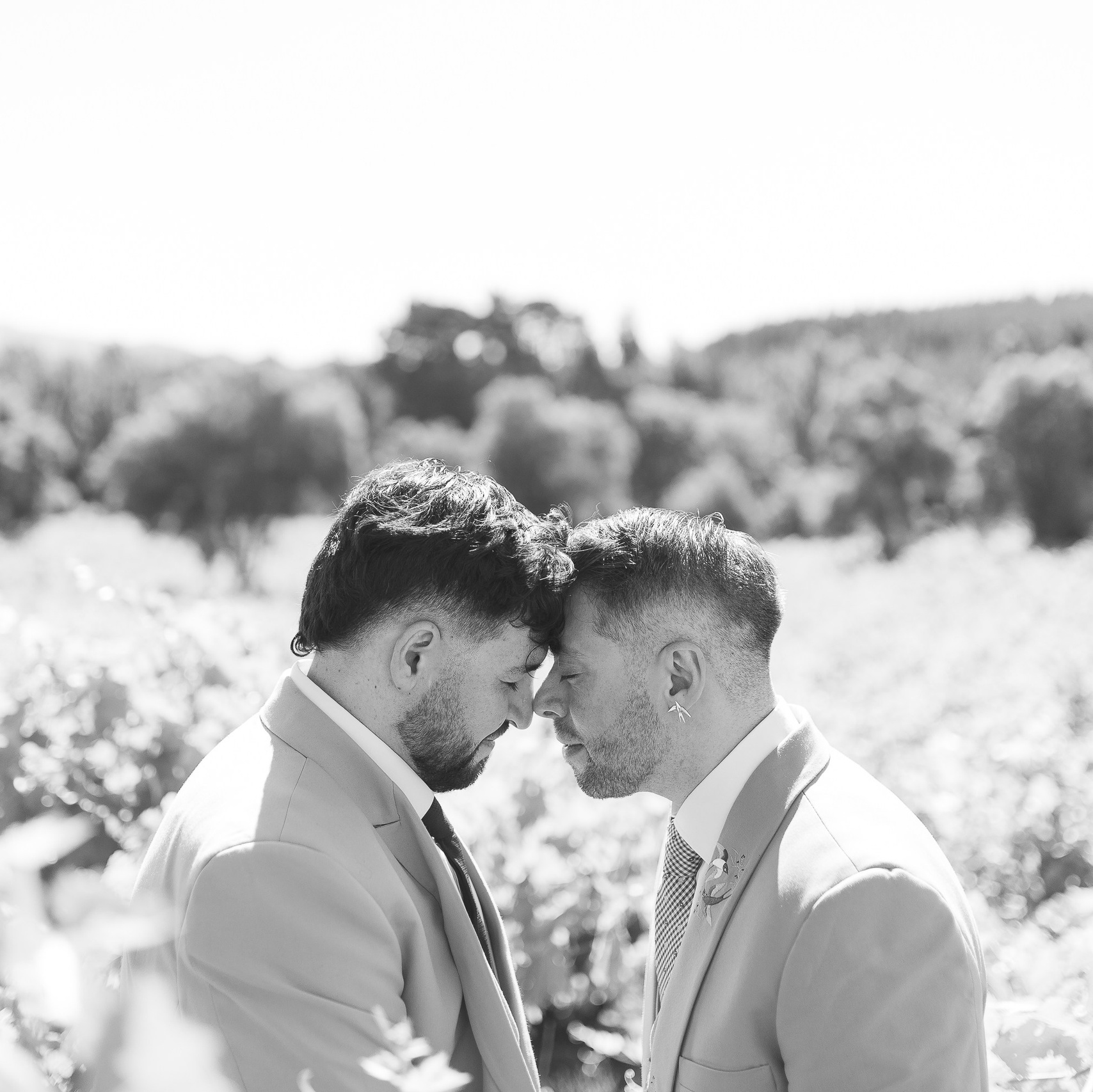 Contacto. Alvaro Arriagada Fotografía