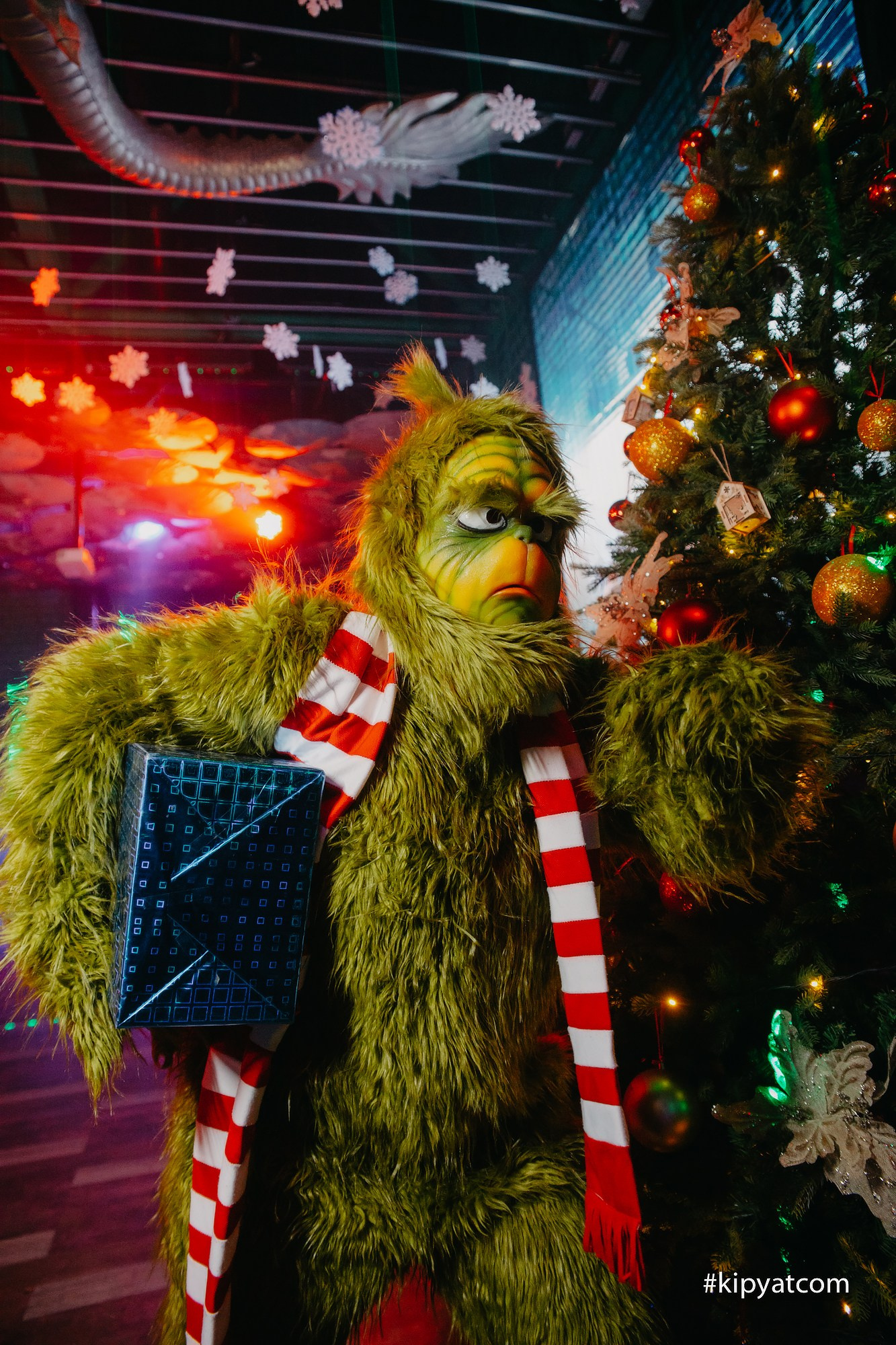 Фотоотчеты. Фотоотчеты