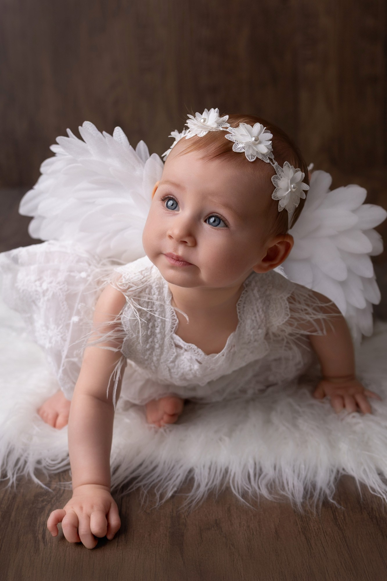 Newborn photographer in Tampa Bay Area, FL