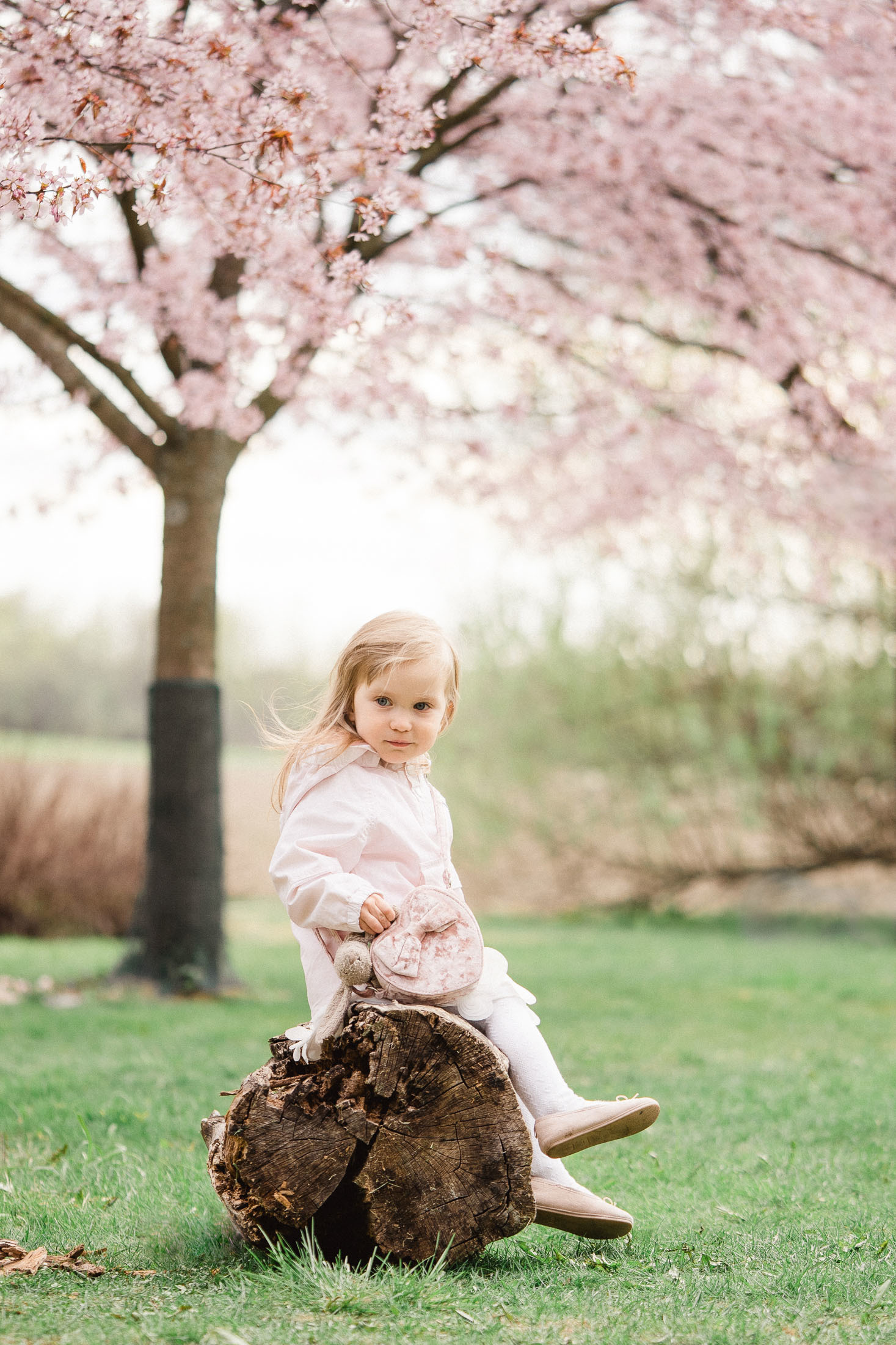 Perhekuvaus Helsingin kirsikkapuistossa