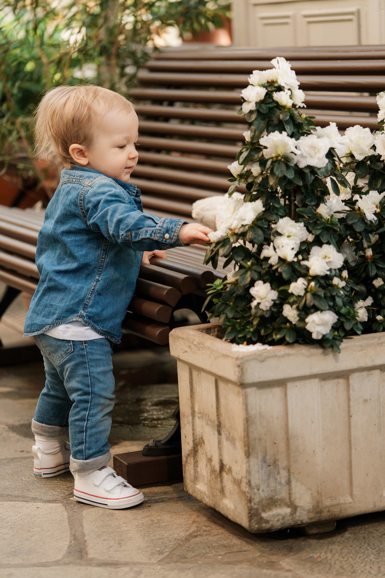 1-vuotiskuvaus Talvipuutarhassa