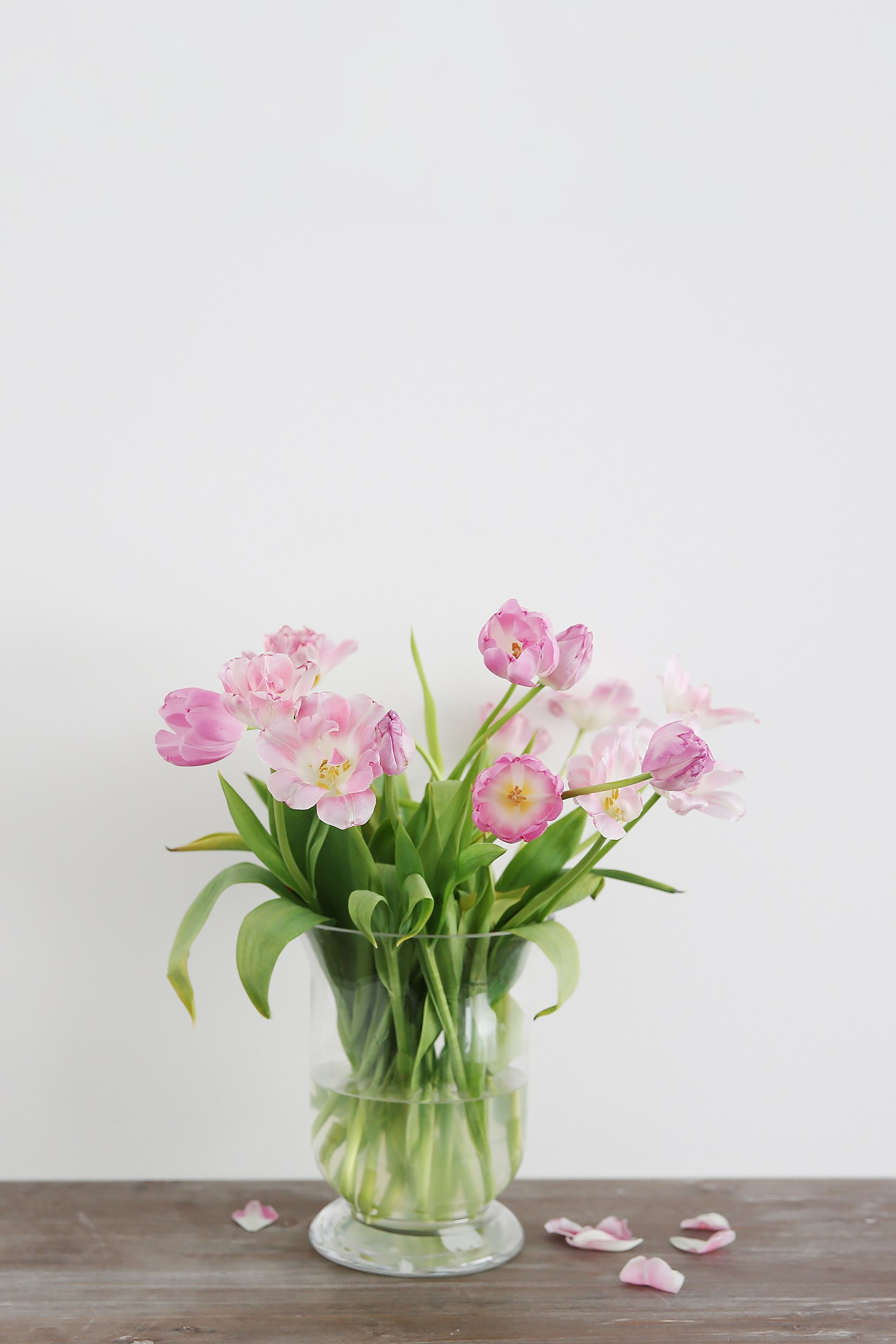 HINNASTO: hää-, kihlaja- ja boudoirkuvaus